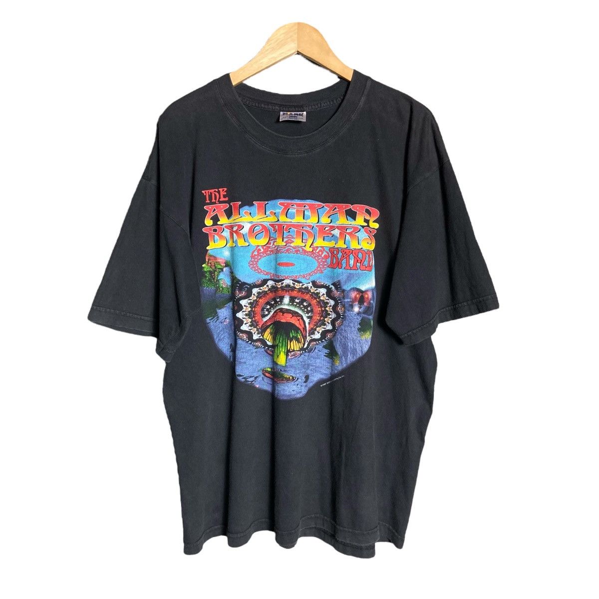 Band Tees Vintage 90s The Allman Brothers Band Tee Size US XL / EU 56 / 4 - 1 Thumbnail