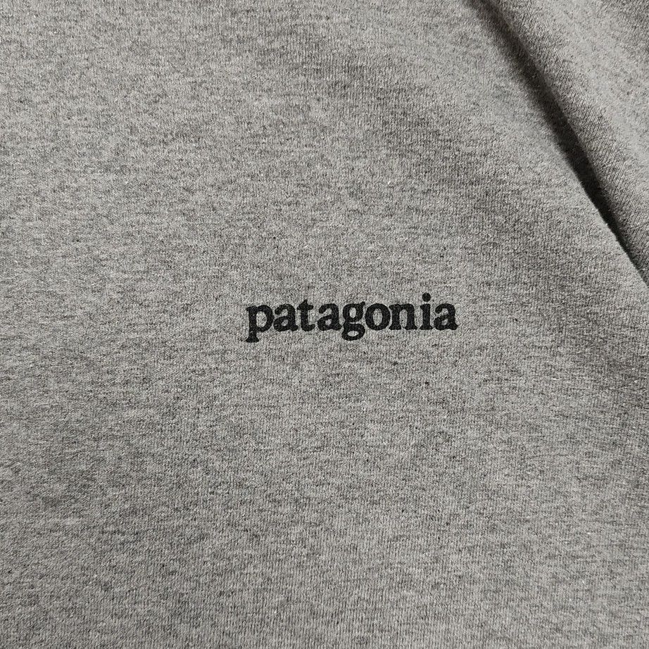 Patagonia Patagonia Responsibilitee mountain graphic long sleeve mns M Size US M / EU 48-50 / 2 - 4 Thumbnail