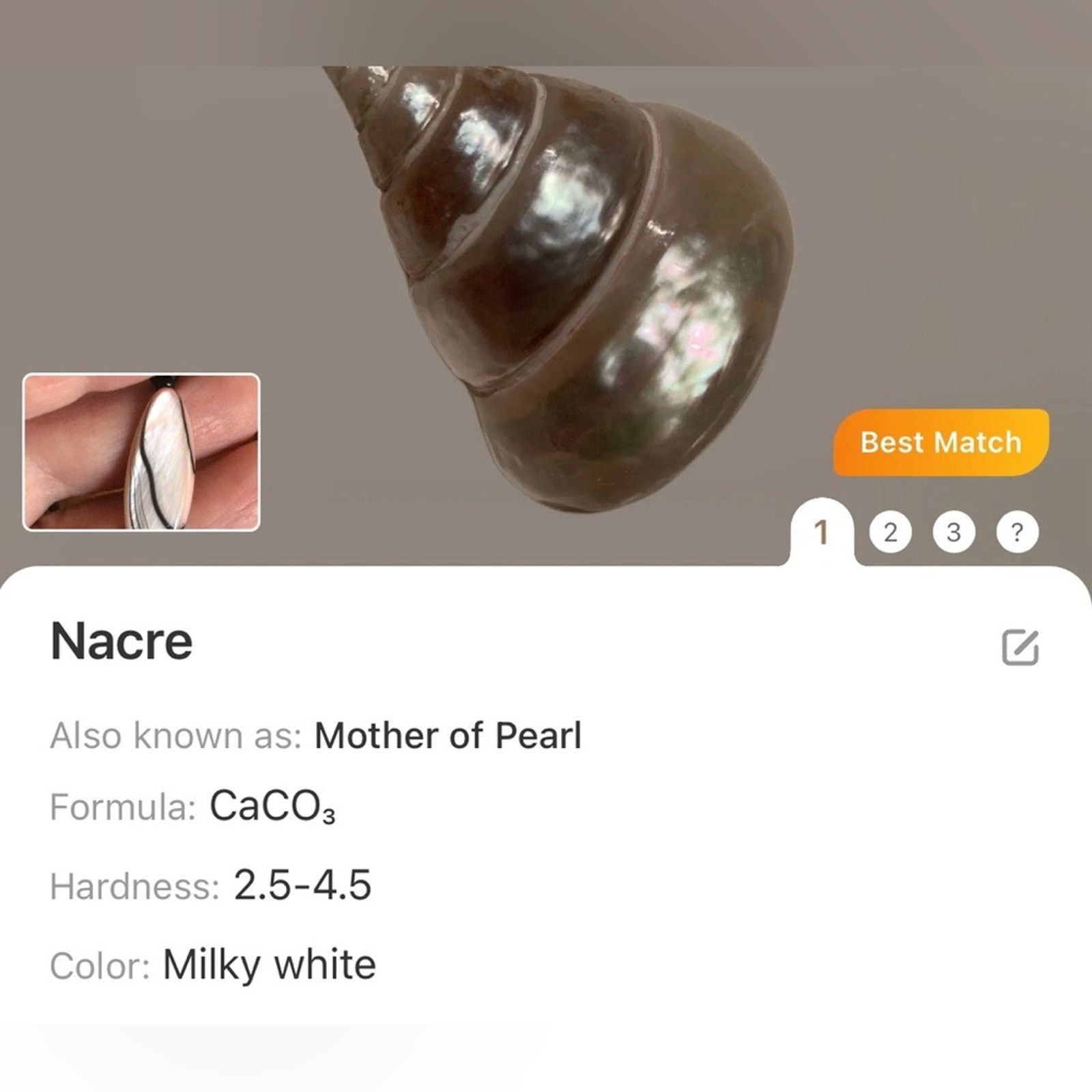 Handmade Handcrafted repurpose natural shell beaded pendant necklace Size ONE SIZE - 12 Thumbnail