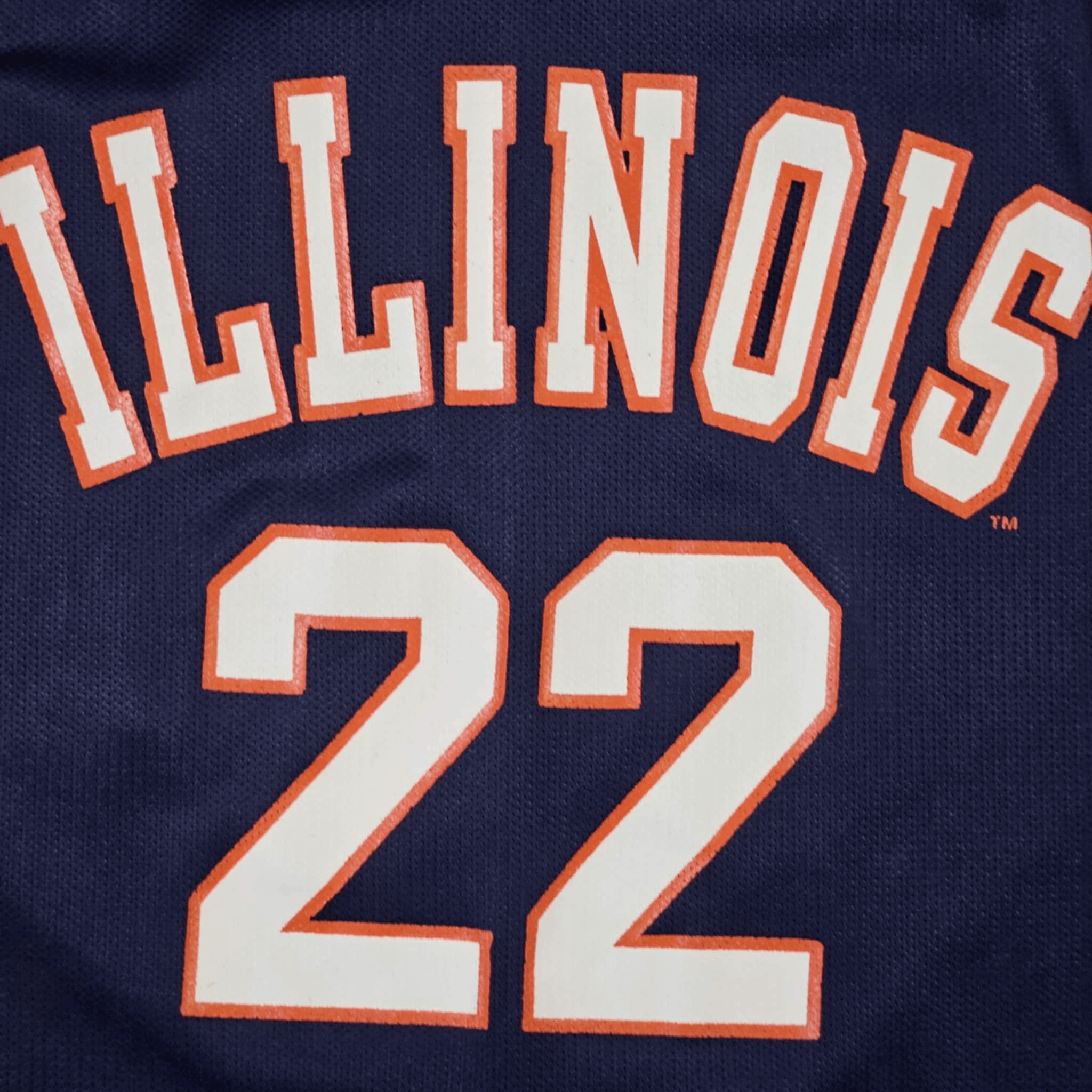 Champion × Vintage Illinois Fighting Illini 90s Garris Basketball Jersey Size US M / EU 48-50 / 2 - 4 Thumbnail