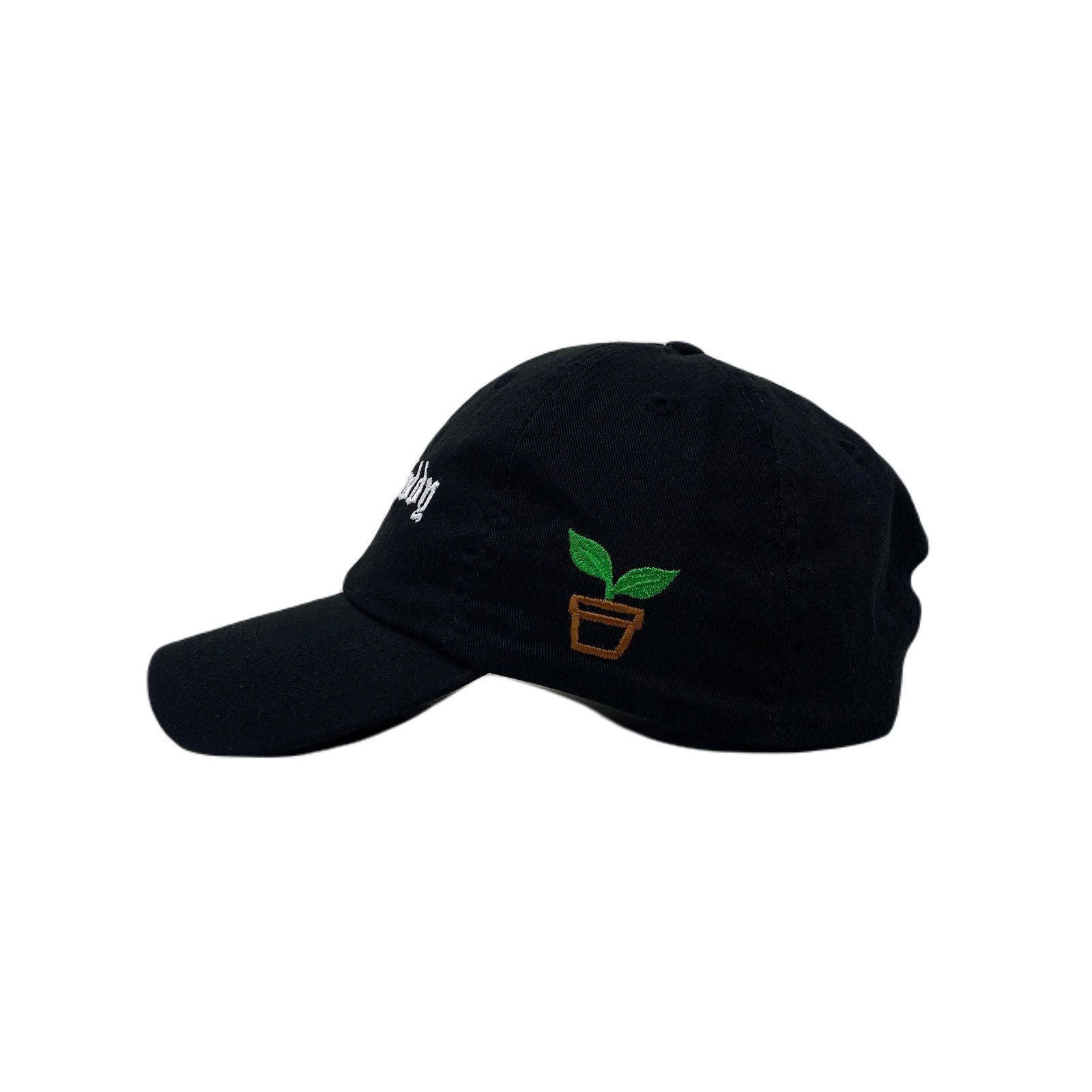 Other Plant Daddy Dad Hat Size ONE SIZE - 6 Thumbnail