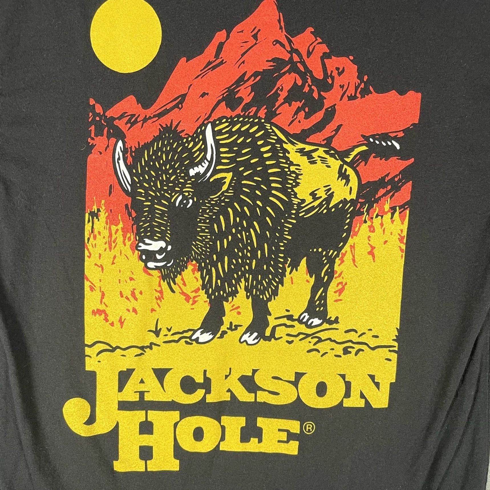 Comfort Colors Jackson Hole Wyoming T Shirt Medium Black Buffalo Sunset Outdoors Destination Mens M Crew Neck Short Sleeve Comfort Colors Size US M / EU 48-50 / 2 - 4 Thumbnail