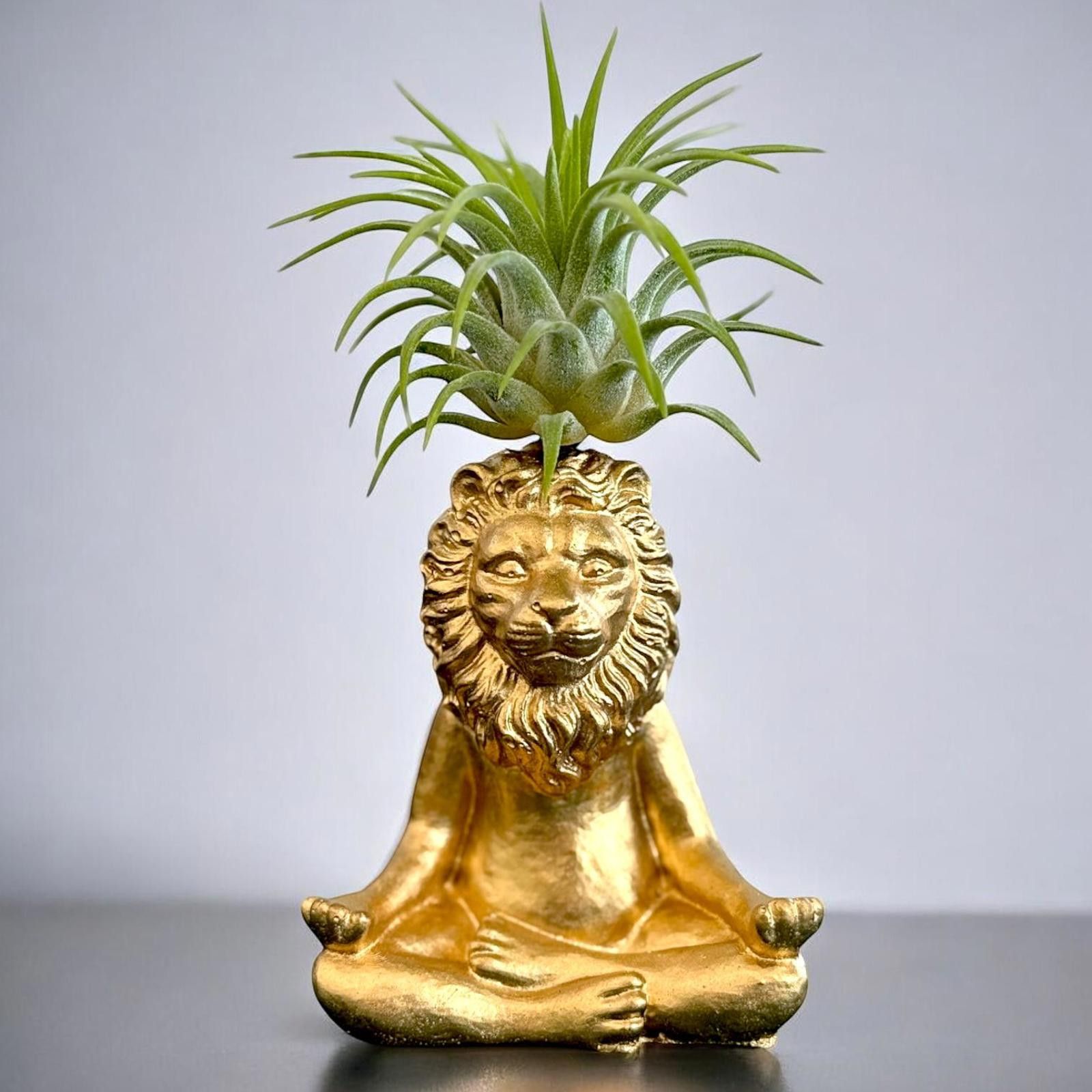 Other Lion Planter – Zen Meditating King of the Jungle, Yoga Gift Size ONE SIZE - 3 Thumbnail