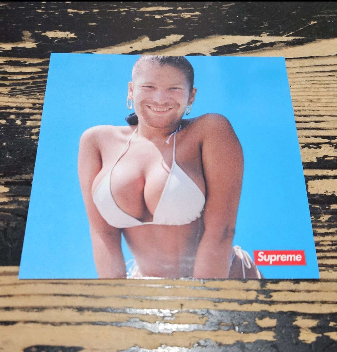 Supreme Supreme Aphex Twin Windowlicker Sticker SS25 Size ONE SIZE - 1 Thumbnail
