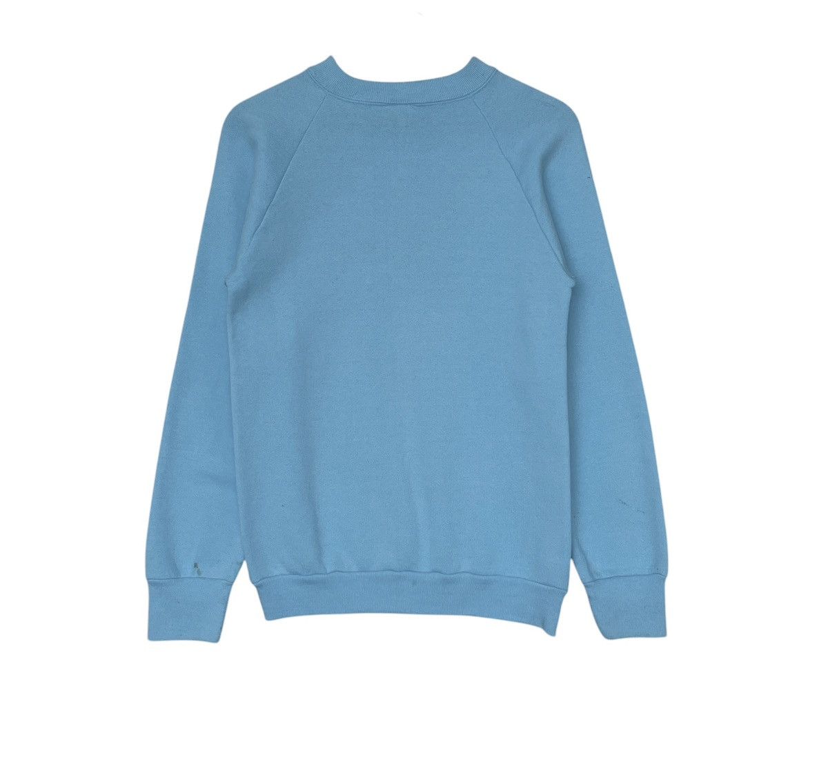 Fruit Of The Loom × Vintage Vintage Fruit of The Loom Sweatshirt 1990s Size US S / EU 44-46 / 1 - 2 Thumbnail