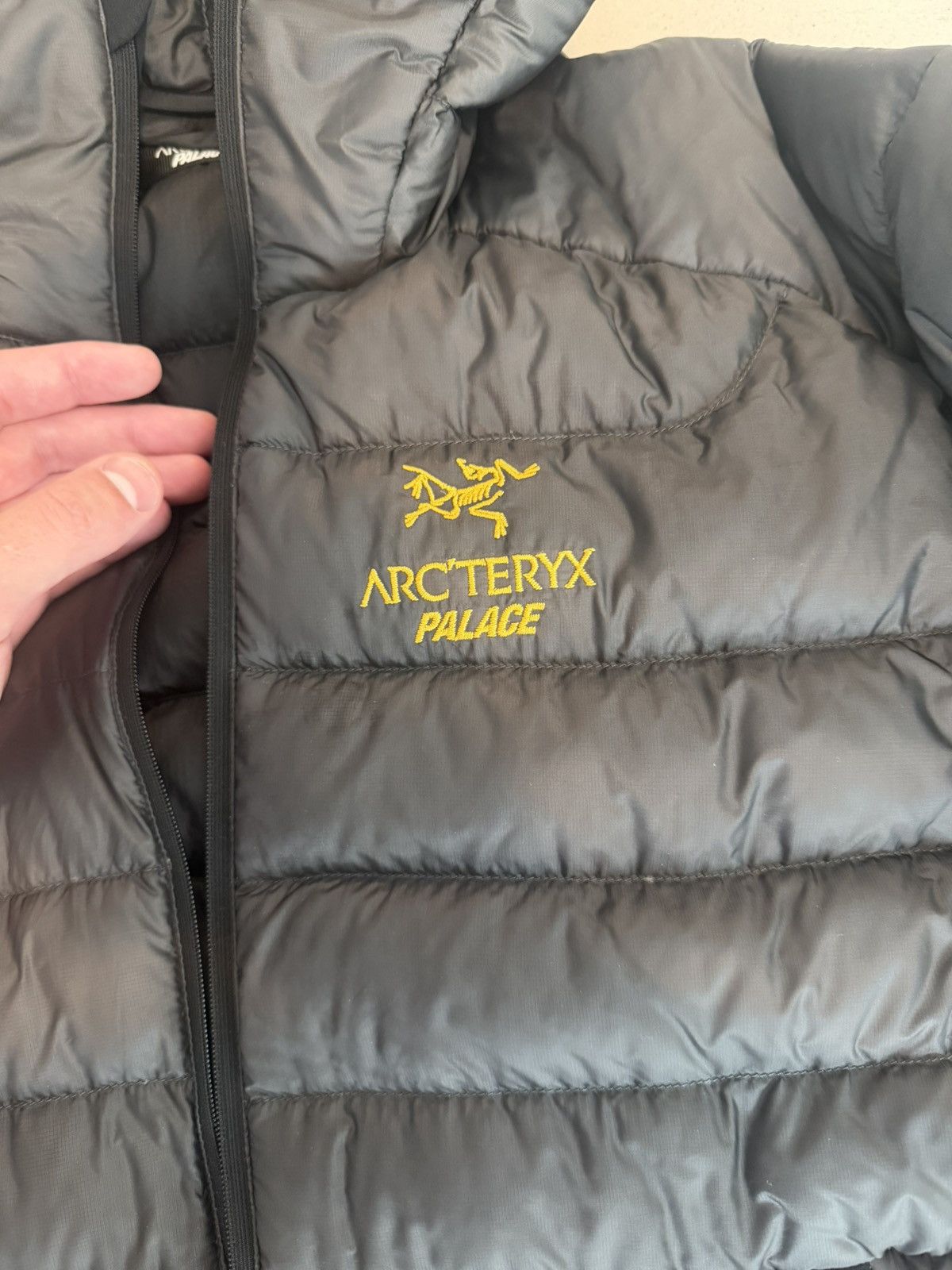 Arc'teryx × Palace Palace x Arcteryx Down Jacket Size US M / EU 48-50 / 2 - 2 Thumbnail