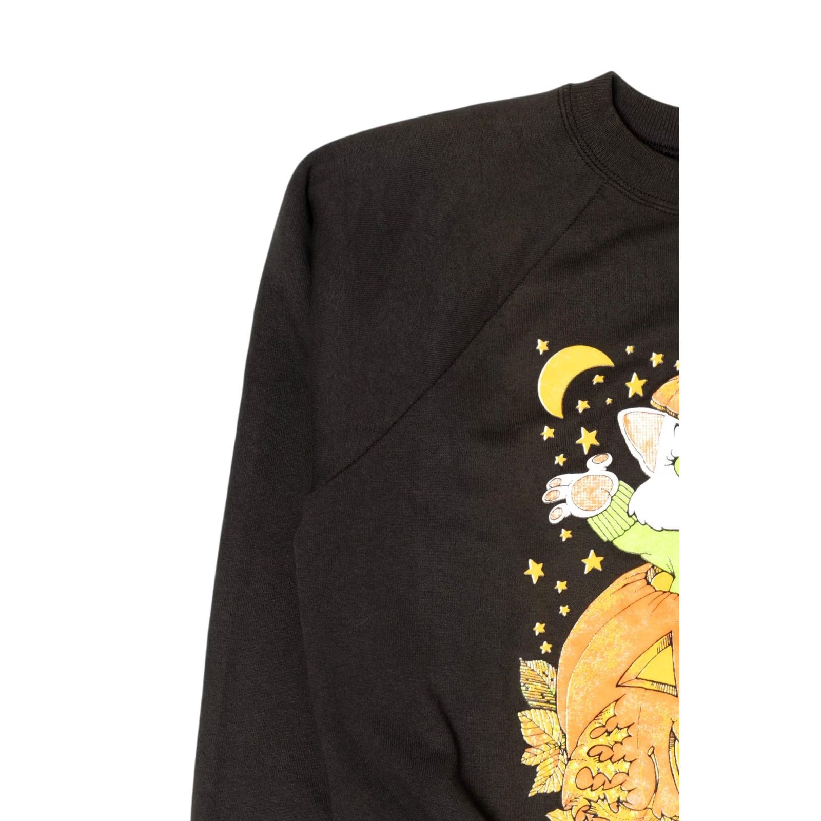 Hanes VINTAGE Hanes Cat In Jack O Lantern Halloween Raglan Sweatshirt Black 1990s Medium Womens Men Girls Boys Size US M / EU 48-50 / 2 - 6 Thumbnail