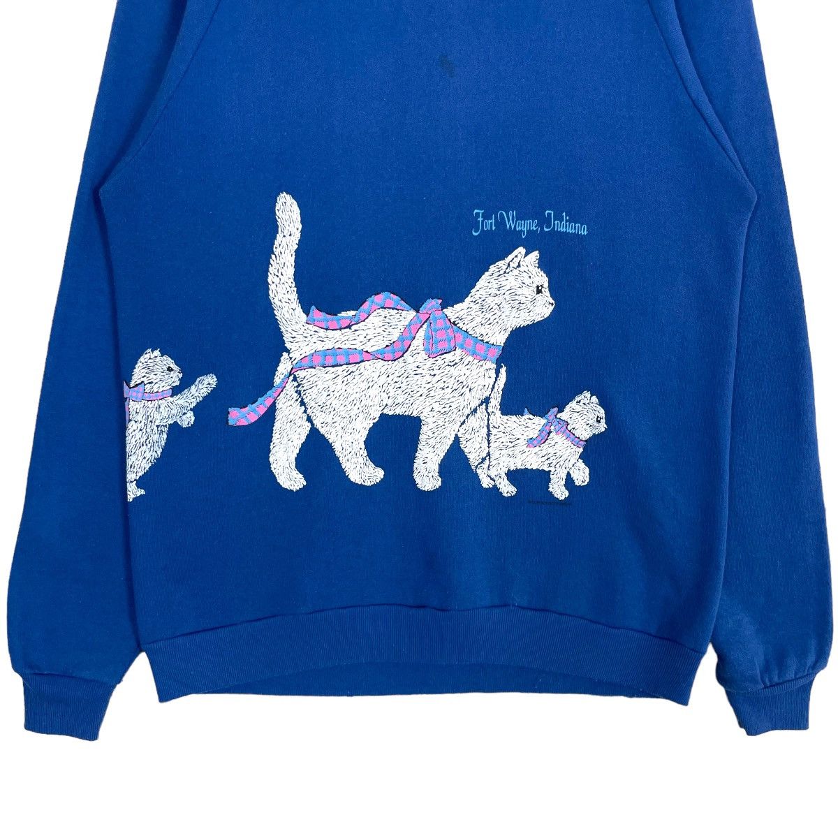 Jerzees Vintage 90s Jerzees Fort Wayne Indiana Sweatshirt Cat Logo Size US S / EU 44-46 / 1 - 4 Thumbnail