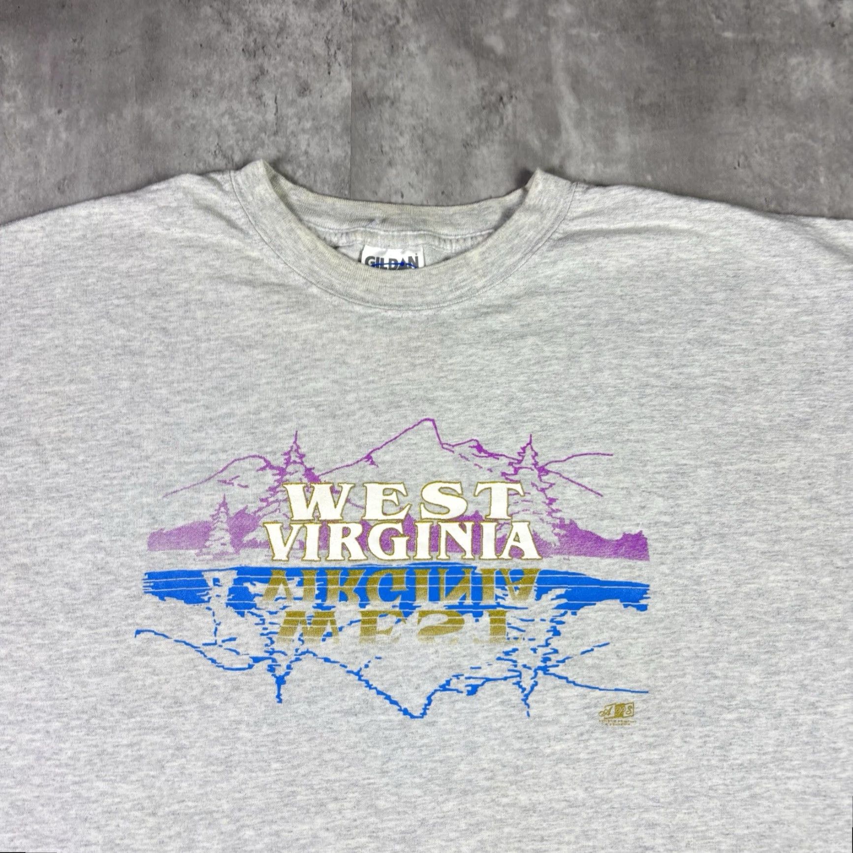 Gildan VINTAGE West Virginia T Shirt Mountain Art Outdoors Adult XL Gray 90s Gildan Cotton Crew Neck Short Sleeve Regular Mens Size US XL / EU 56 / 4 - 6 Thumbnail