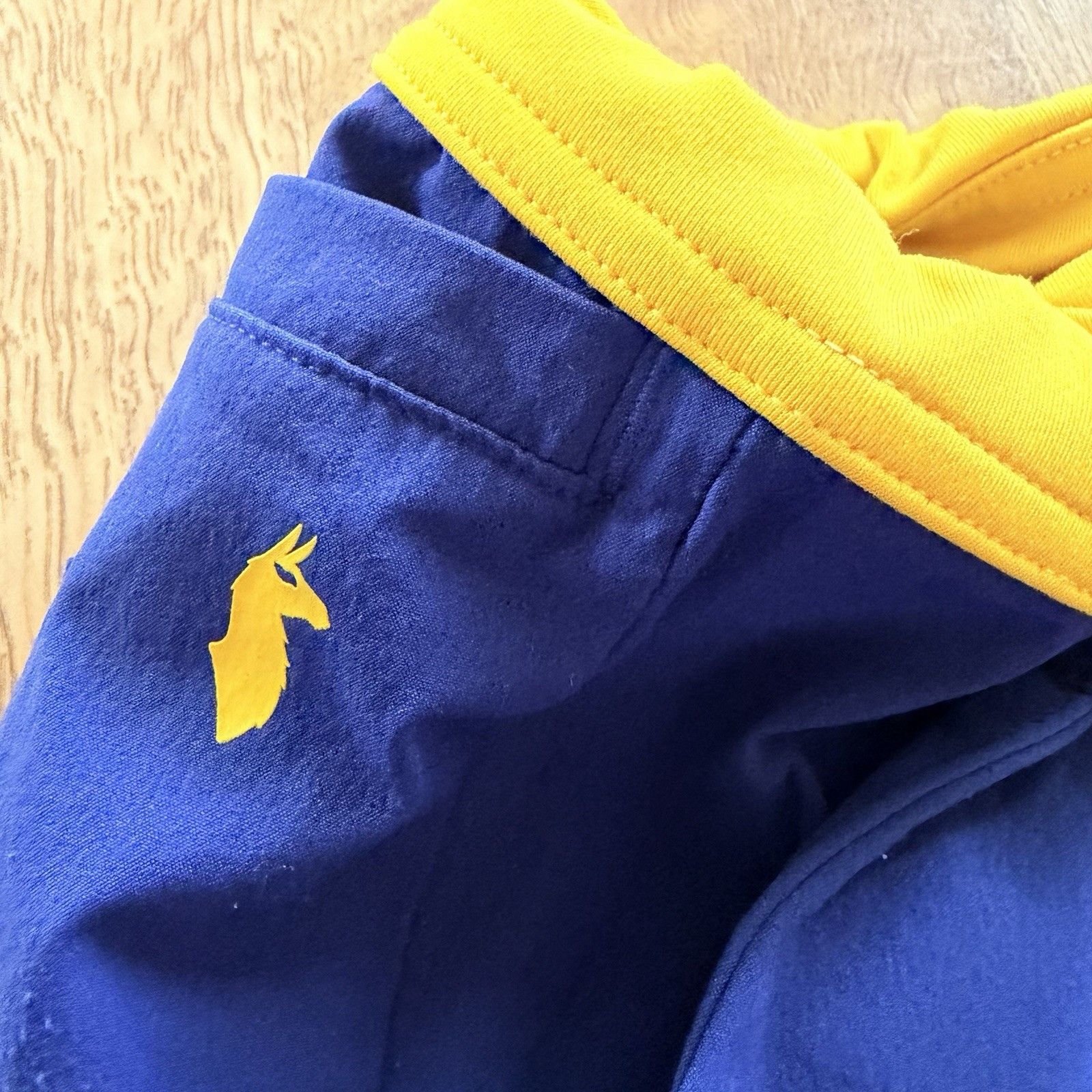 Cotopaxi Cotopaxi Vamos Hybrid Men’s Large Blue Yellow Shorts Size US 35 - 2 Thumbnail