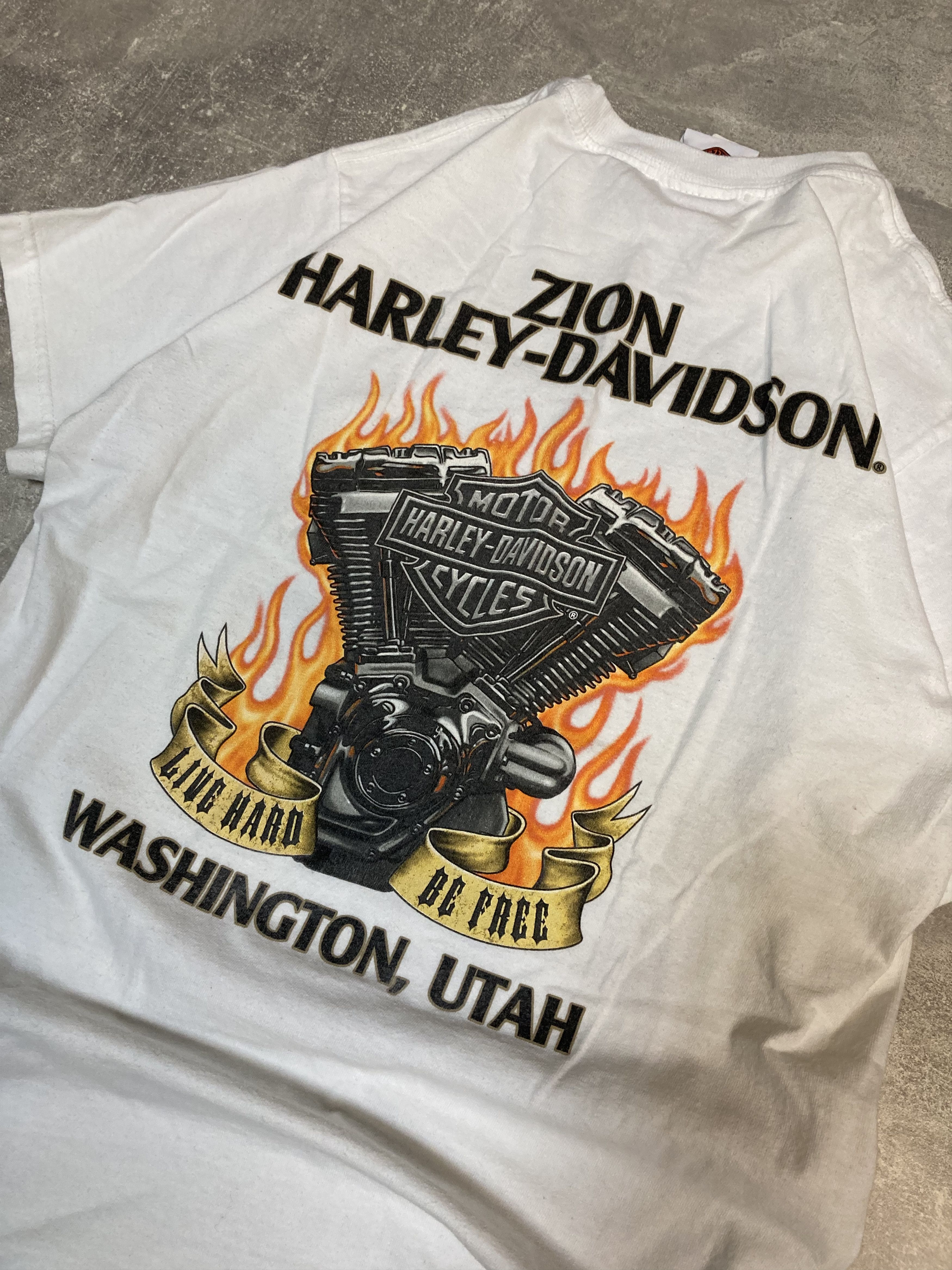 Harley Davidson Harley Davidson Zion Washington Utah big logo y2k tee Size US S / EU 44-46 / 1 - 2 Thumbnail