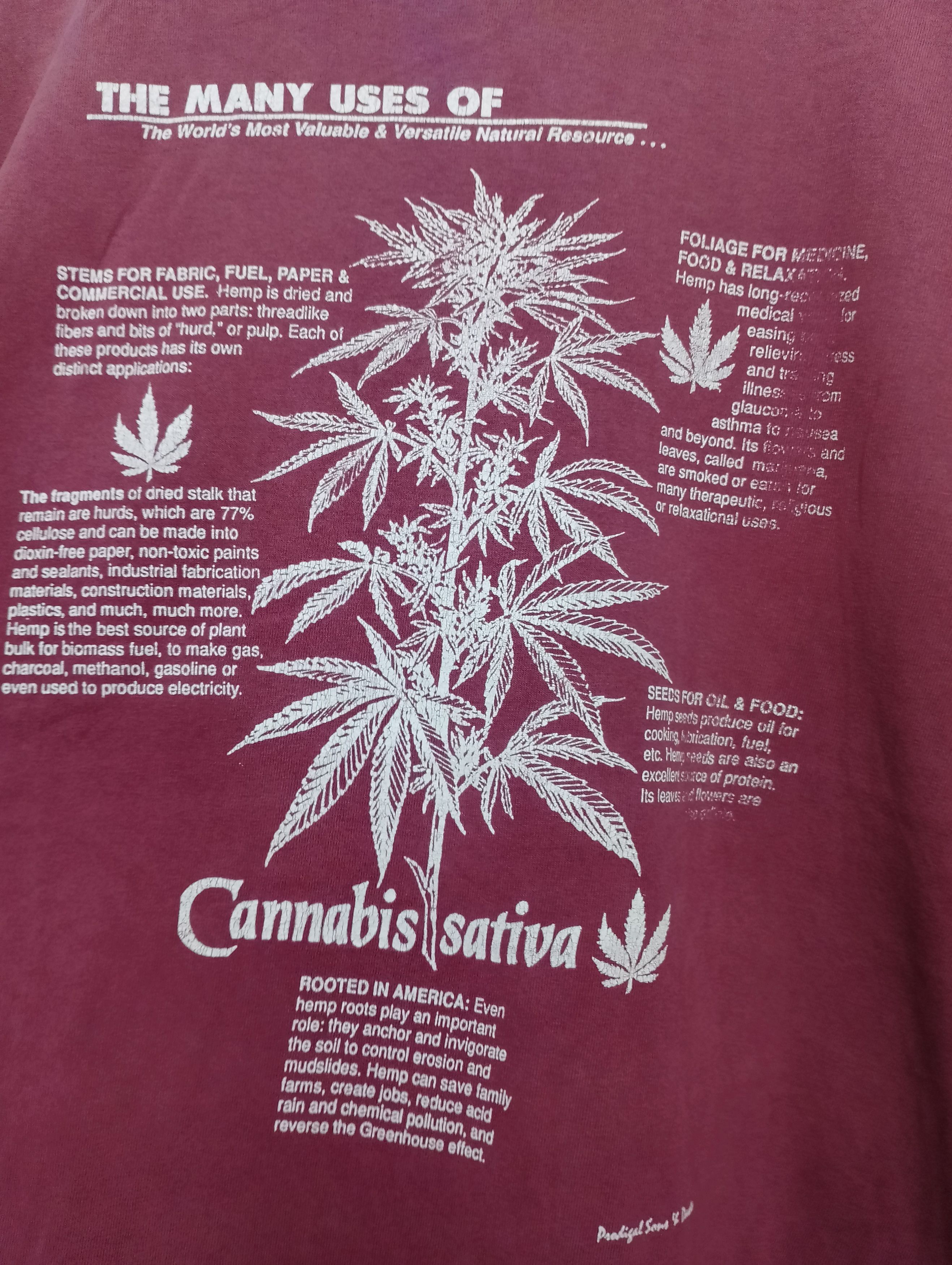 Vintage Vintage Cannabis Sativa Historical Tee Size US XXL / EU 58 / 5 - 8 Thumbnail