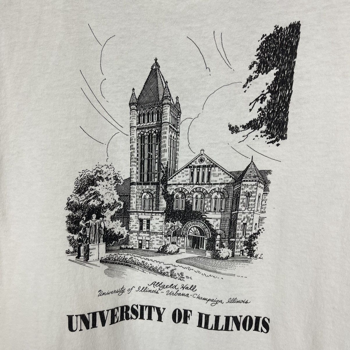 Fruit Of The Loom 90s Vintage UNIVERSITY OF ILLINOIS T Shirt #1740/07 Size US M / EU 48-50 / 2 - 2 Thumbnail