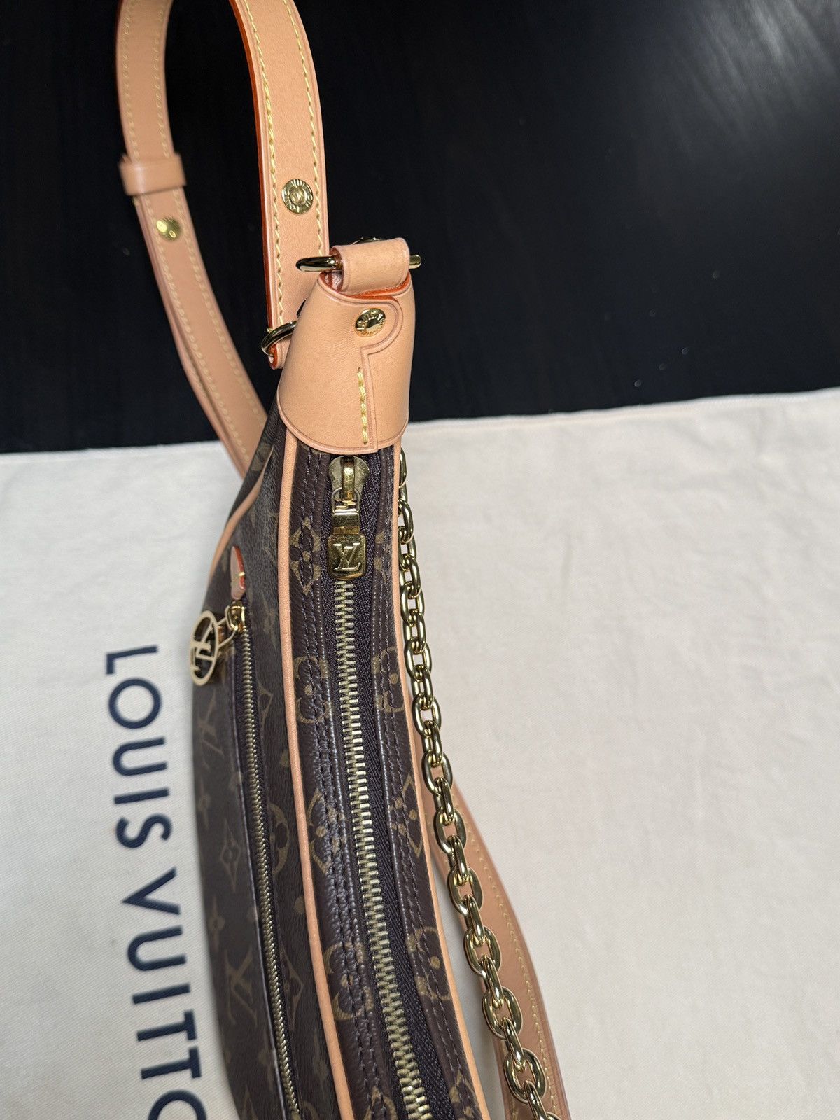 Louis Vuitton LOUIS VUITTON LOOP MONOGRAM BAG Size ONE SIZE - 14 Thumbnail