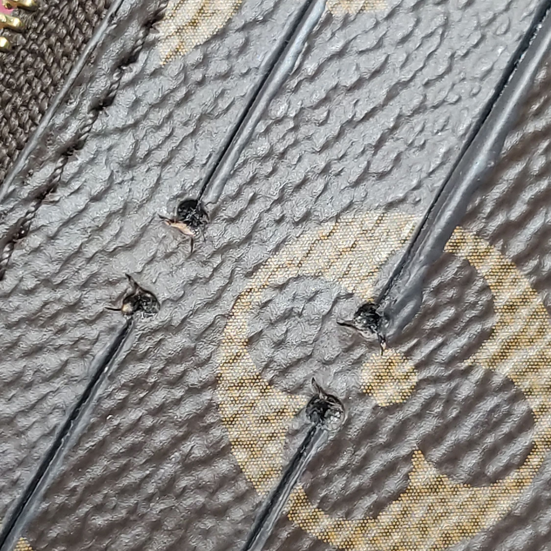 Louis Vuitton Louis Vuitton (LV) Emilie leather Monogram print snap walle Size ONE SIZE - 7 Thumbnail