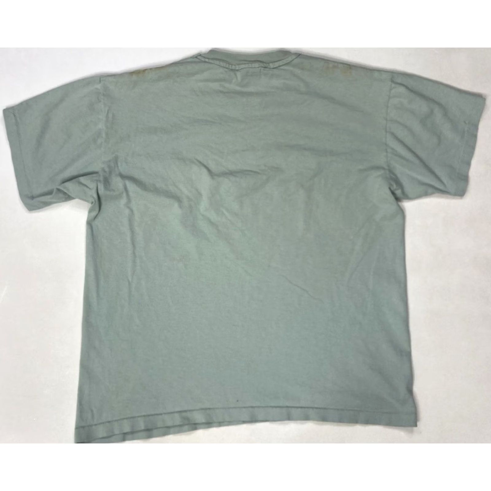 Anvil VINTAGE Anvil T-Shirt Graphic Ft Walton Beach Florida 90s Crew Neck Short Sleeve Men L Green 1990s City Logo Decade All Seasons Size US L / EU 52-54 / 3 - 6 Thumbnail