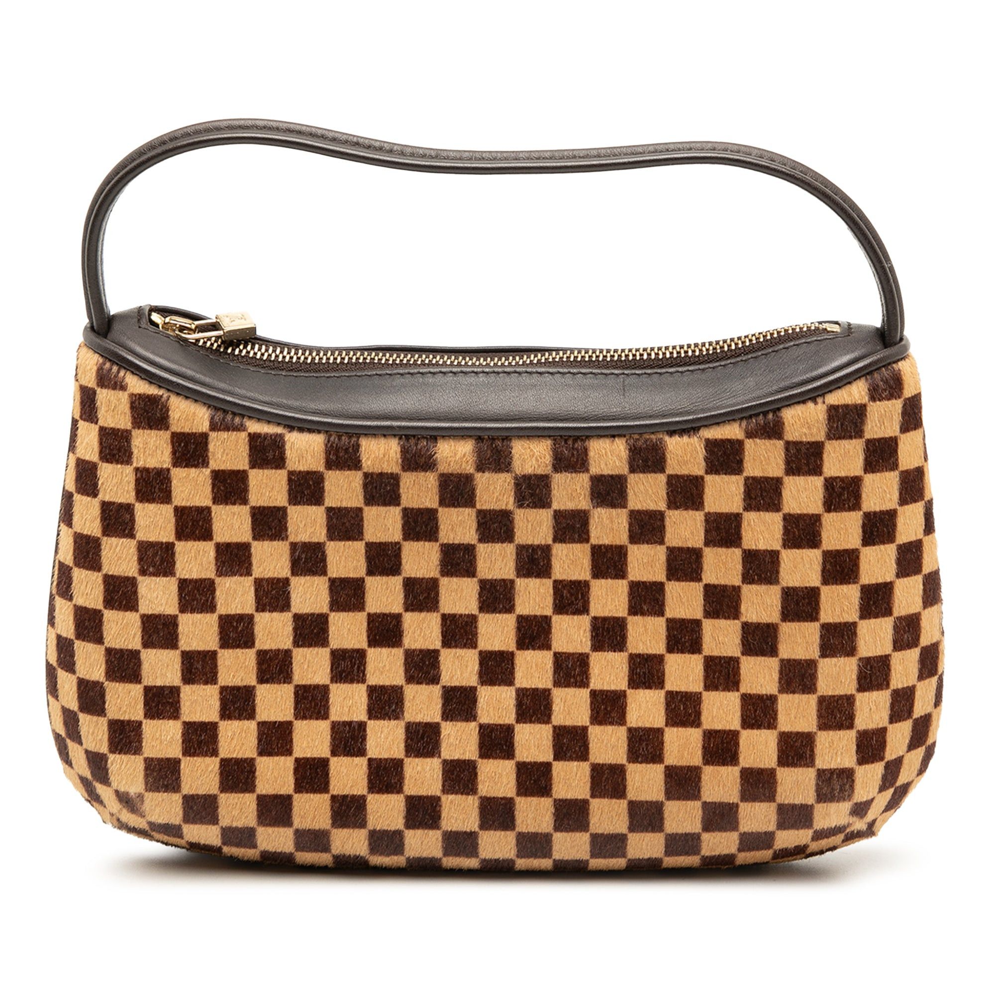 Louis Vuitton Damier Sauvage Tigre Size ONE SIZE - 1 Thumbnail