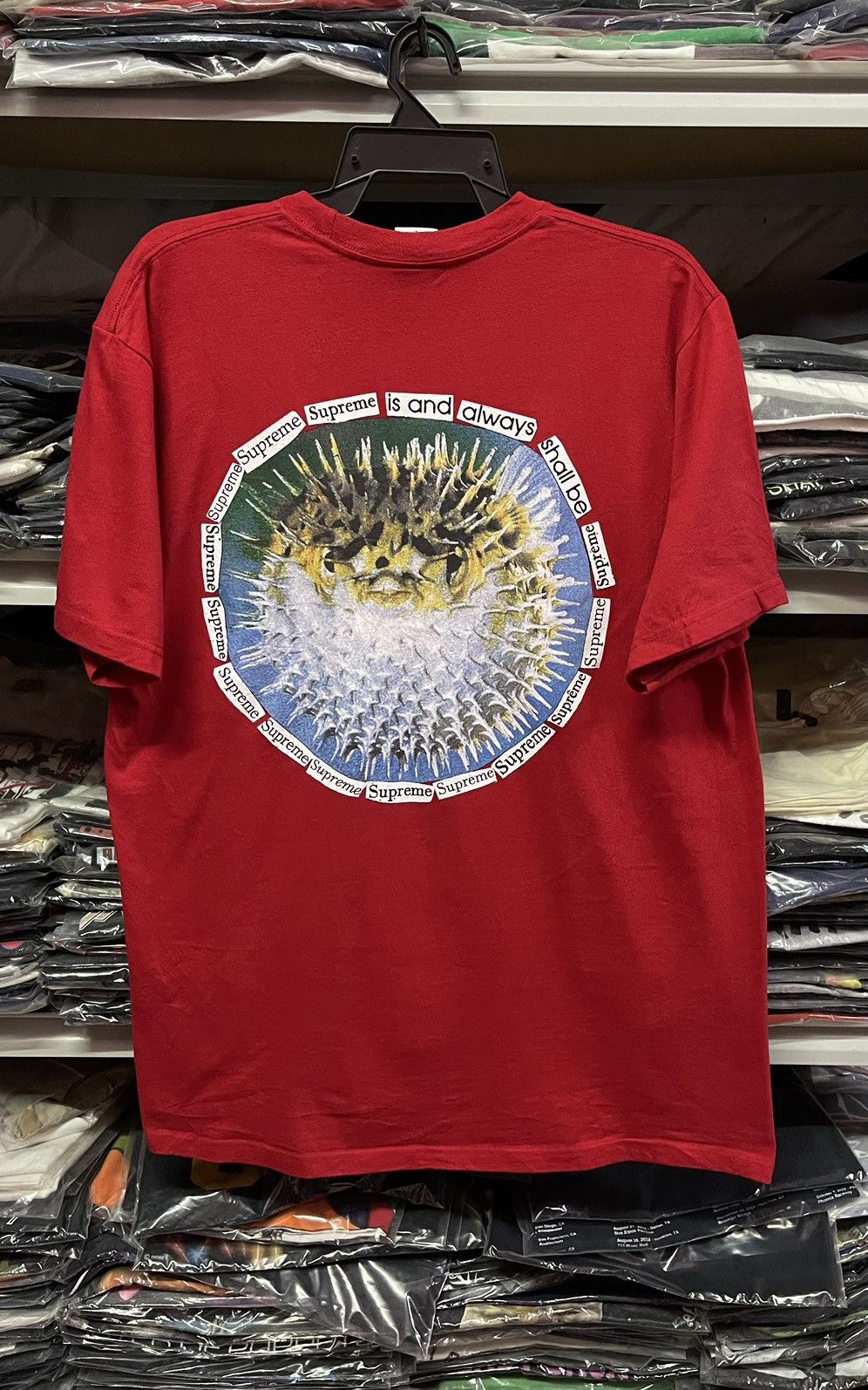 Supreme Supreme 23SS Blowfish🔥🔥🔥 Size US L / EU 52-54 / 3 - 5 Thumbnail