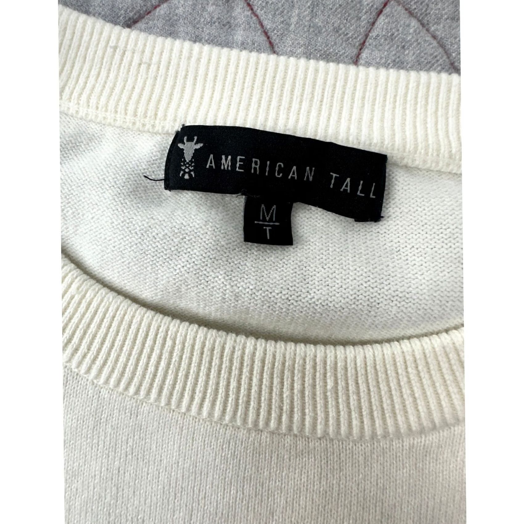 Vintage American Tall Sweater / MT Medium Tall Men’s Crew Neck Cotton Stripe Textured Ivory/ Cream All Seasons Pullover Size US M / EU 48-50 / 2 - 2 Thumbnail