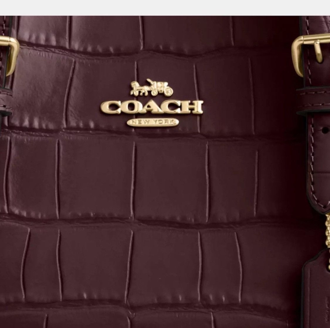 Coach NWT Coach Mollie 25 Croc-Embossed Leather Tote Bag Size ONE SIZE - 5 Thumbnail