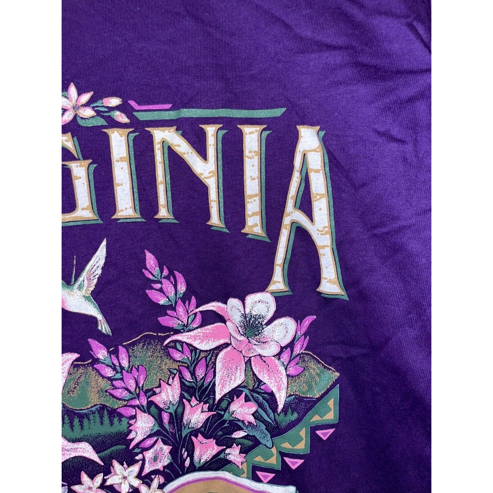 Jerzees Vintage Test Print Shirt Virginia Santa Fe Tee VTG 90s M Size US M / EU 48-50 / 2 - 4 Thumbnail