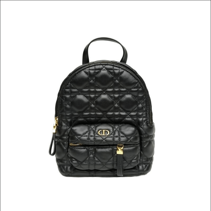 Dior Dior leather backpack Mini Size ONE SIZE - 1 Thumbnail