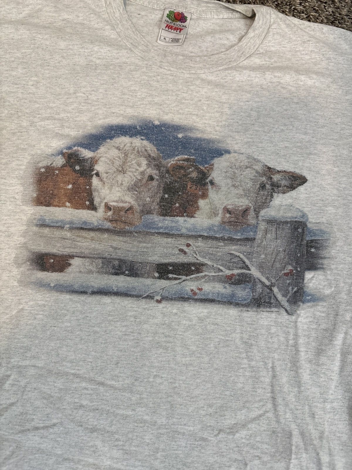 Fruit Of The Loom 90s Fruit of the Loom Cattle Tee Size US XL / EU 56 / 4 - 1 Thumbnail