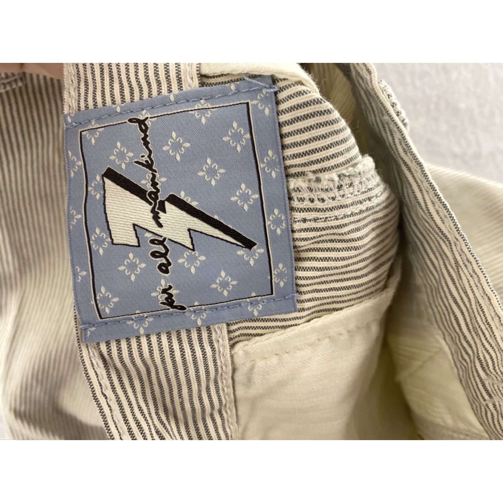 7 For All Mankind 7 For All Mankind Cargo Shorts Mens 30 Blue Cotton Linen Blend Button Fly Regular Fit Size US 30 / EU 46 - 7 Thumbnail
