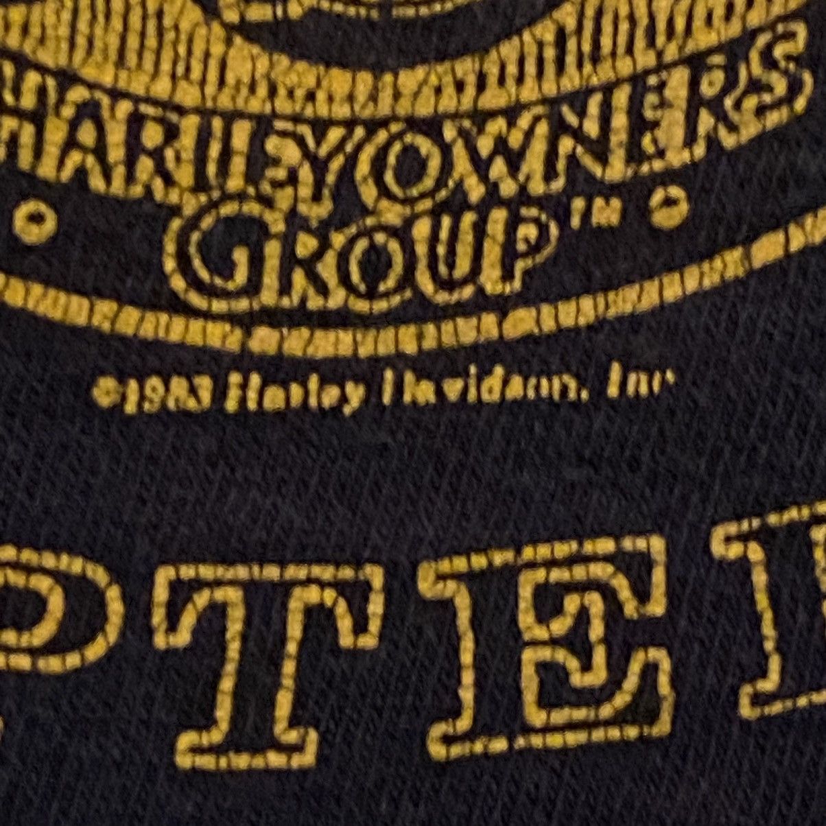 Harley Davidson × Nike Vintage 90s Faded Black Harley Davidson Graphic Tee AZ Large Size US L / EU 52-54 / 3 - 21 Thumbnail