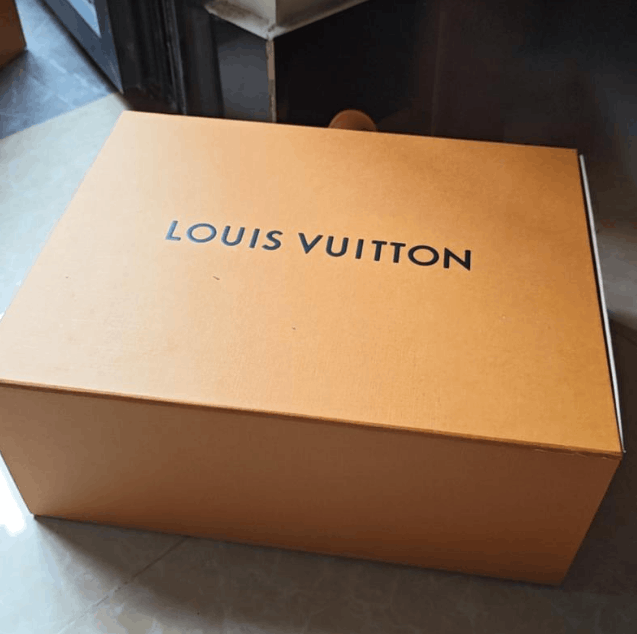 Louis Vuitton Louis Vuitton low-top sneakers Size US 9 / EU 42 - 8 Thumbnail