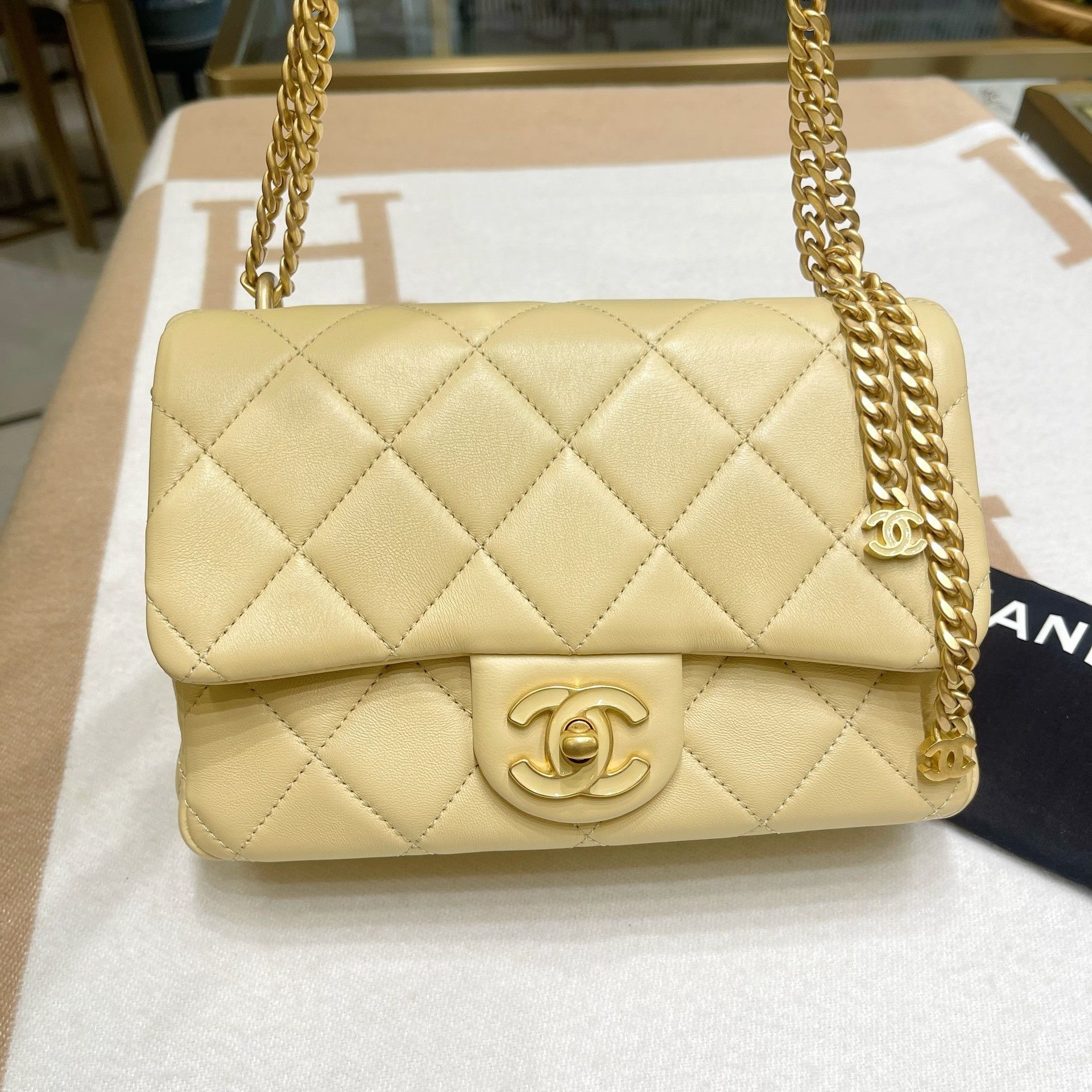 Chanel Pre-loved Bag Brand new condition Size ONE SIZE - 1 Thumbnail