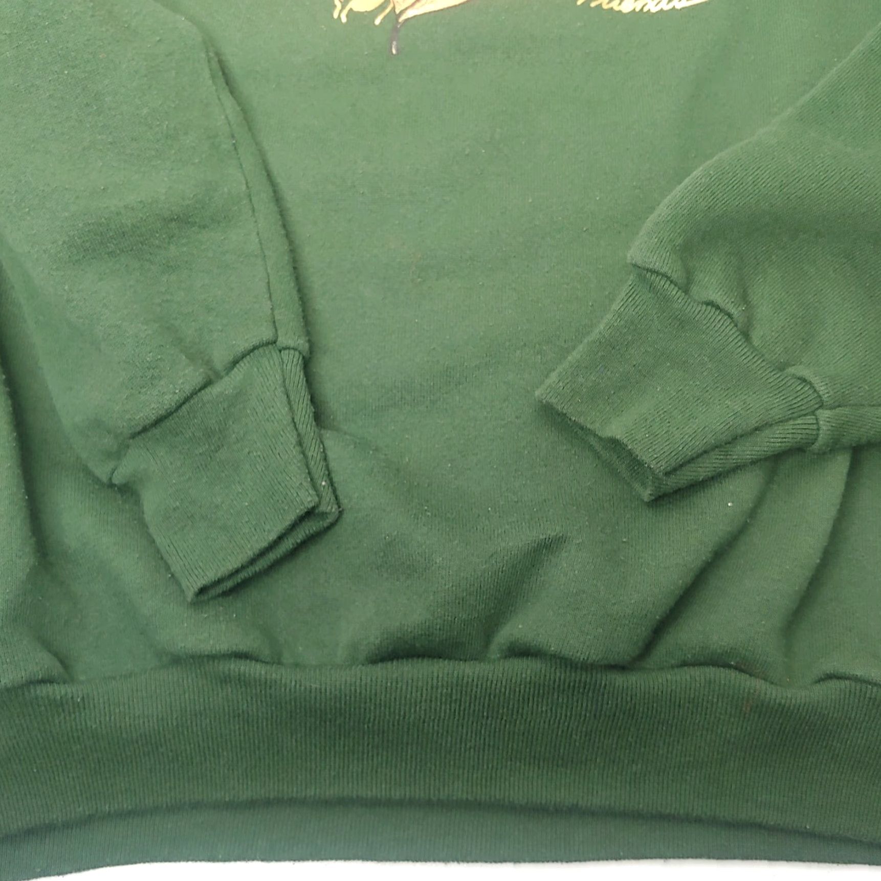 Tultex VINTAGE Tultex Sweatshirt USA Green Men L Crew Neck Birds Gold Foil Friends Spring? Size US L / EU 52-54 / 3 - 7 Thumbnail
