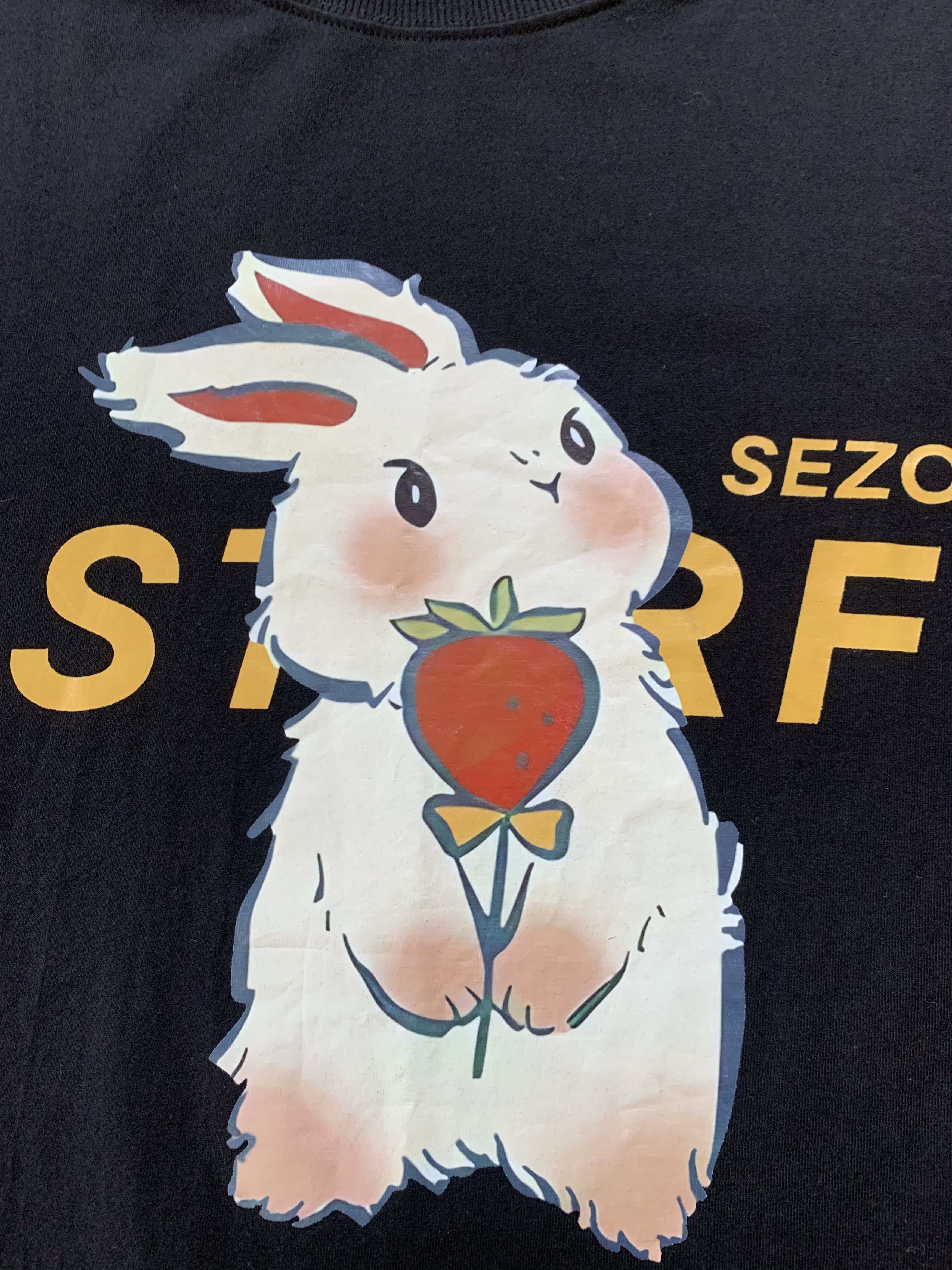 Other Oversize Sezo Starf Bunny Printed T-Shirt Size US XXL / EU 58 / 5 - 6 Thumbnail
