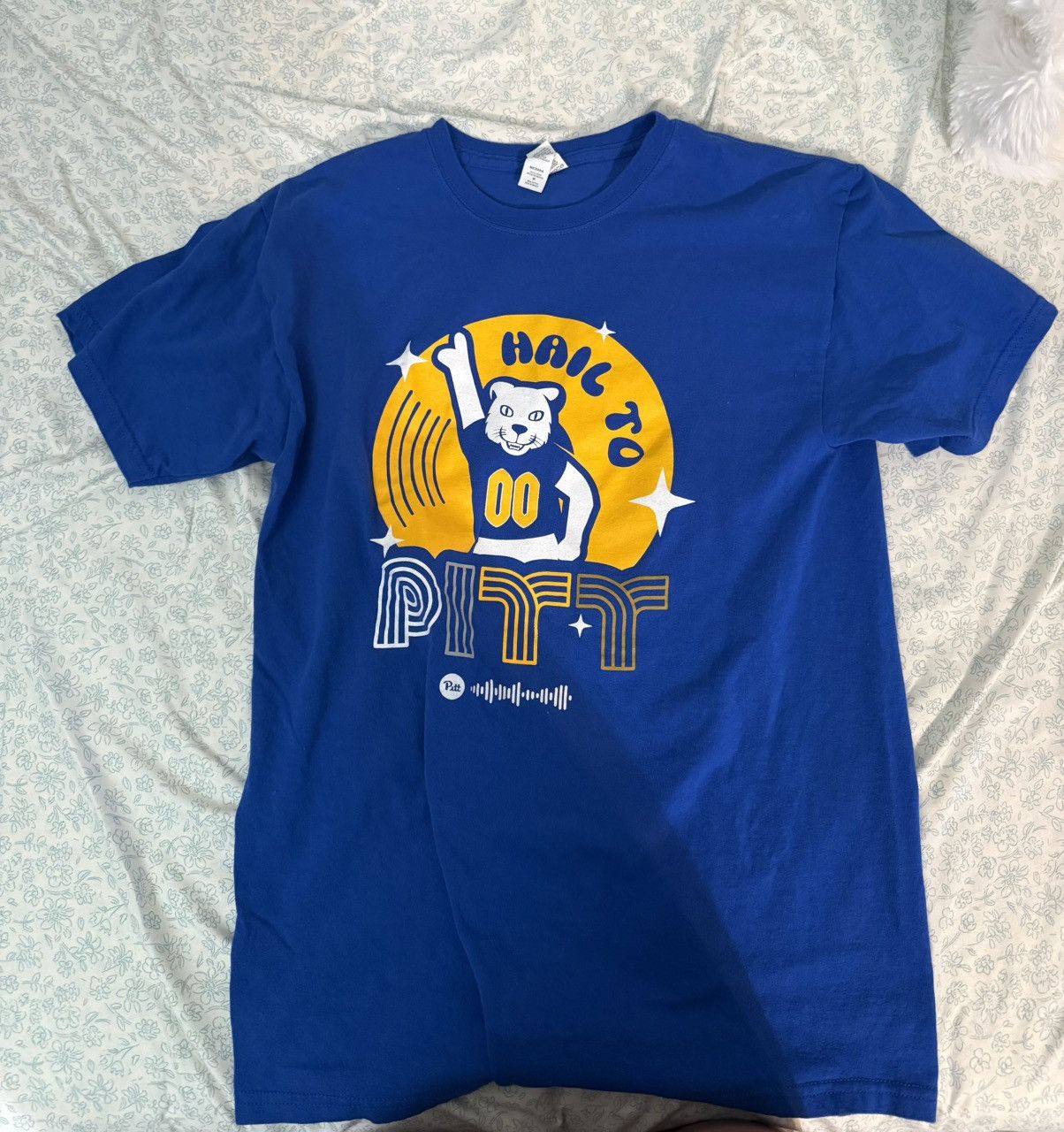 Other Hail to Pitt t-shirt Size M / US 6-8 / IT 42-44 - 1 Preview