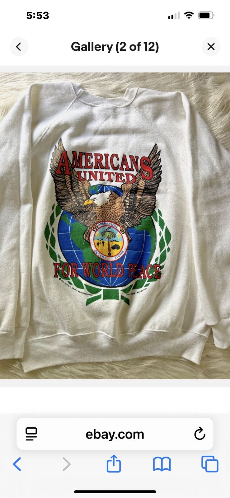Hanes Operation Desert Storm Americans United Sweatshirt Size L Size US L / EU 52-54 / 3 - 2 Thumbnail