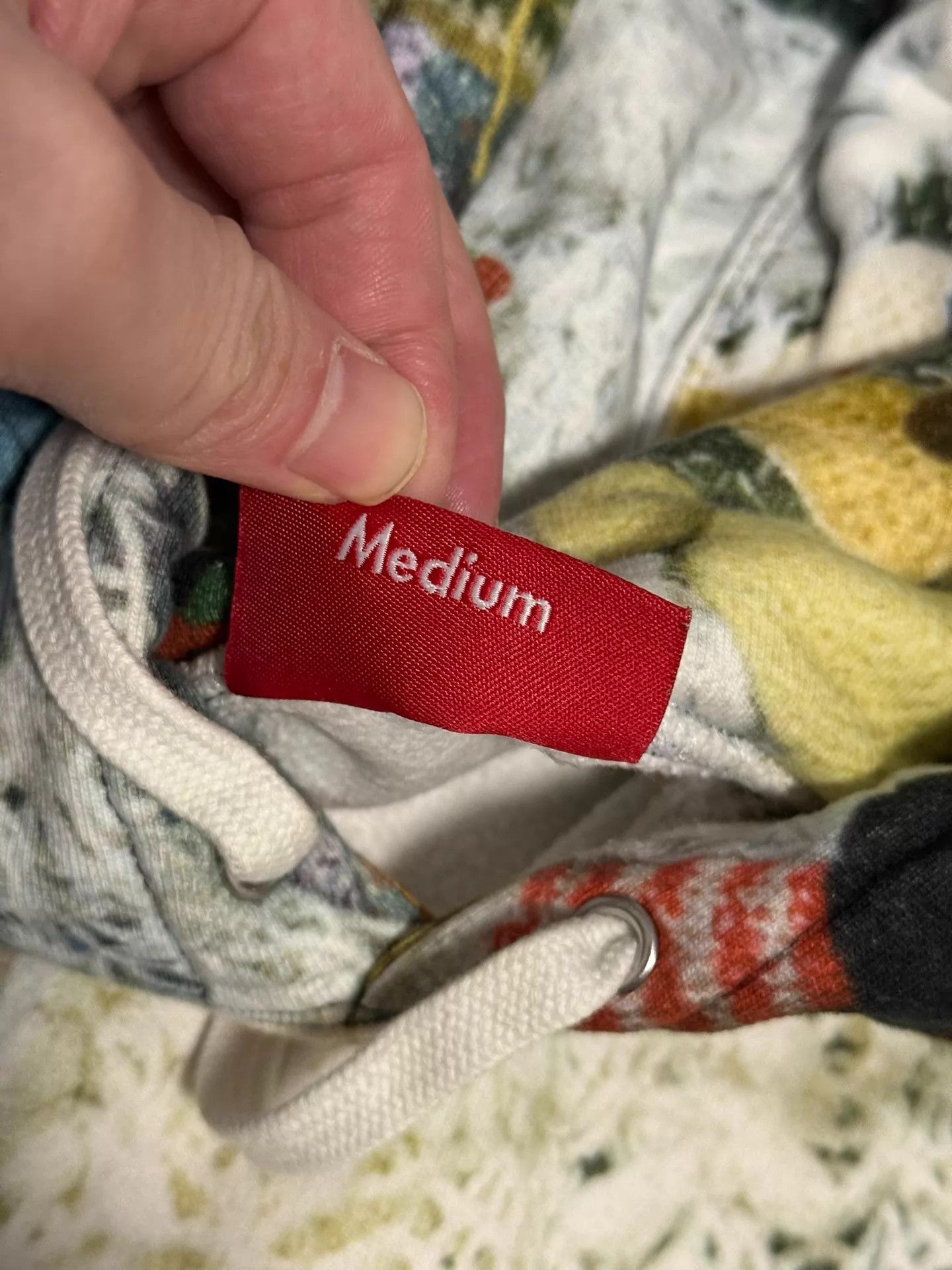 Supreme Supreme Mike Doll Hoodie M Worn 2-3x Size US M / EU 48-50 / 2 - 4 Thumbnail