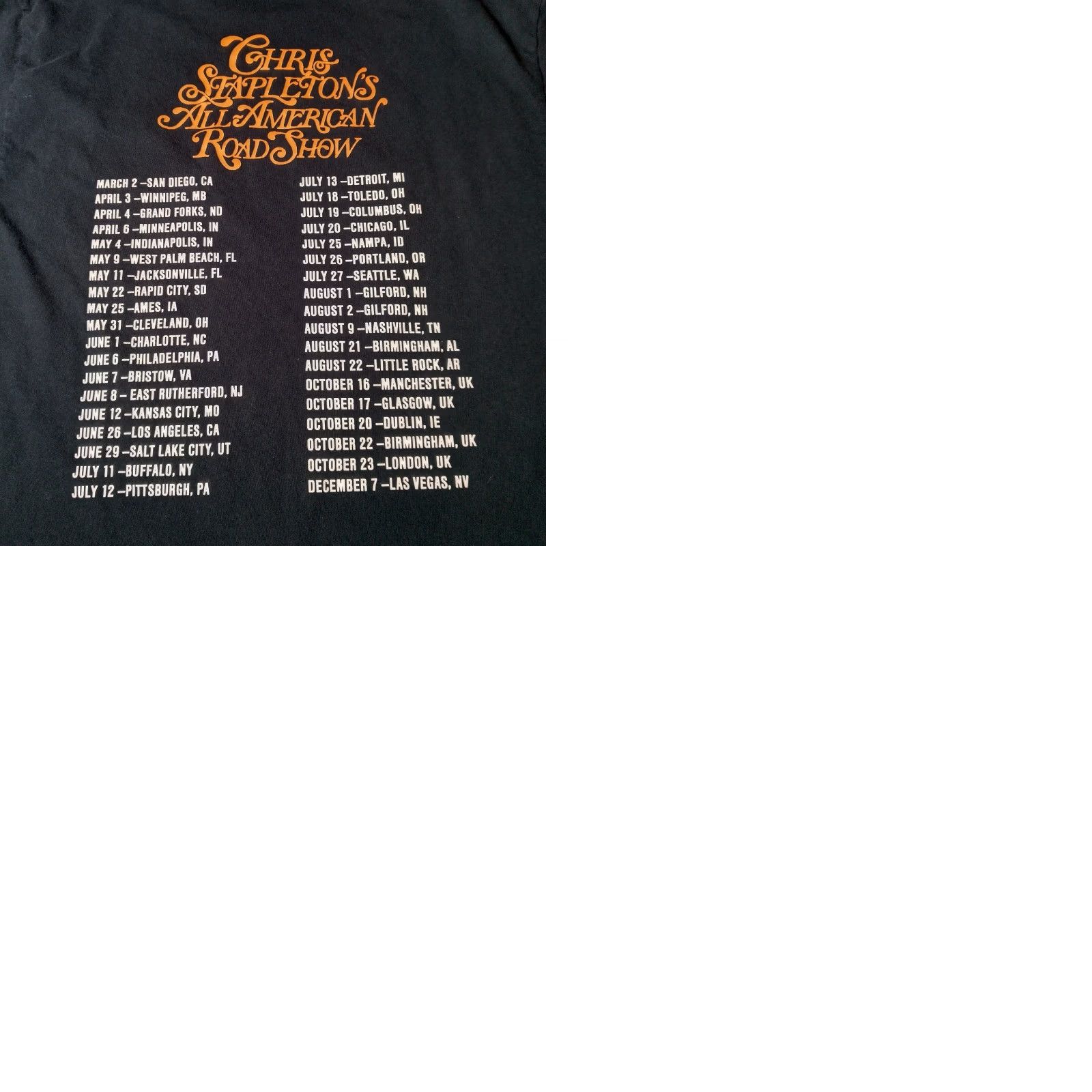 Gildan Chris Stapleton Tour Shirt L All American Road Show Black Desert Skull Cactus Shirt Men Size US L / EU 52-54 / 3 - 9 Thumbnail