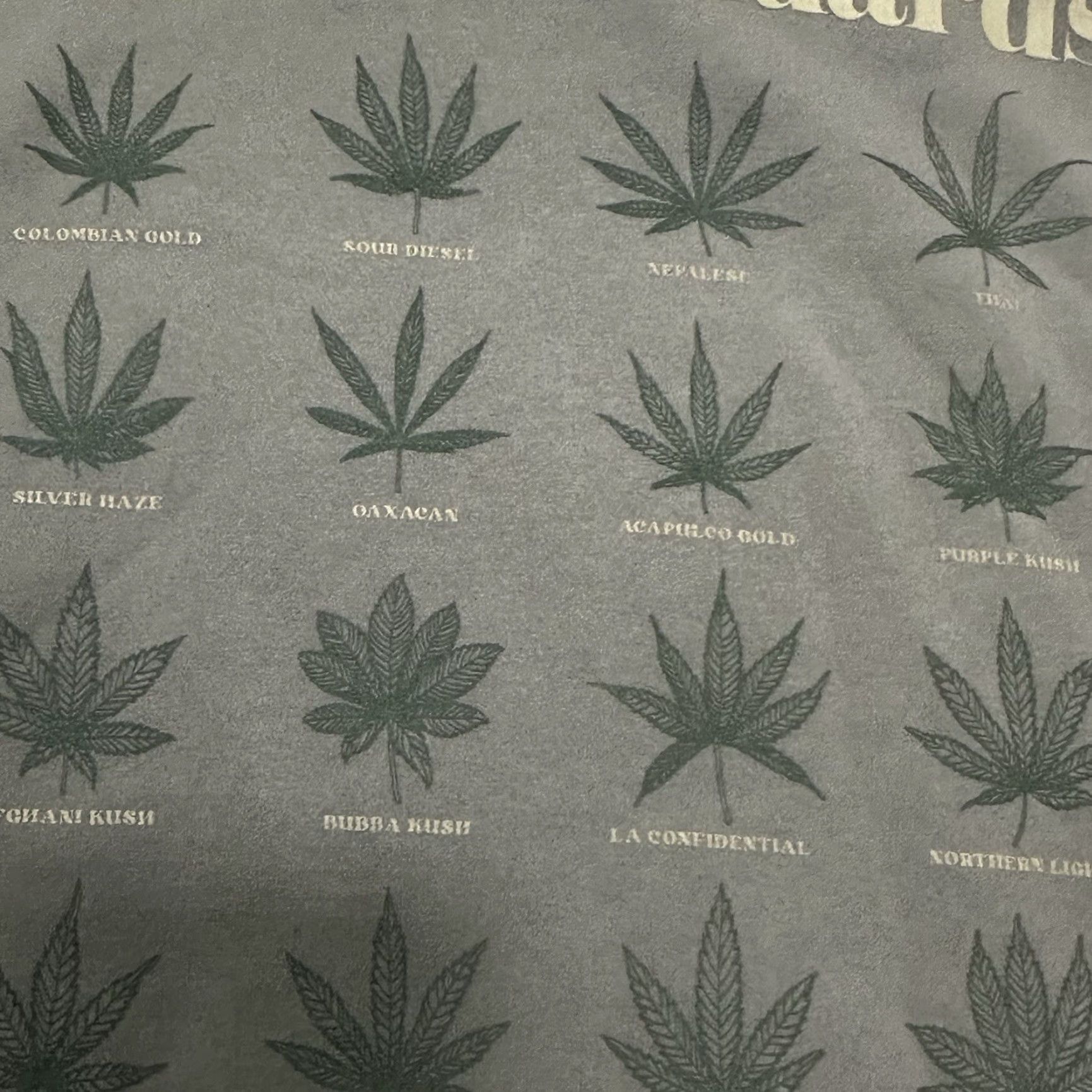 Vintage Gstar Hoodie Sweatshirt Mens Small Green High Standards Marijuana Strains Weed Shirt Hoodie Mens Green Band 90s? Size US S / EU 44-46 / 1 - 7 Thumbnail