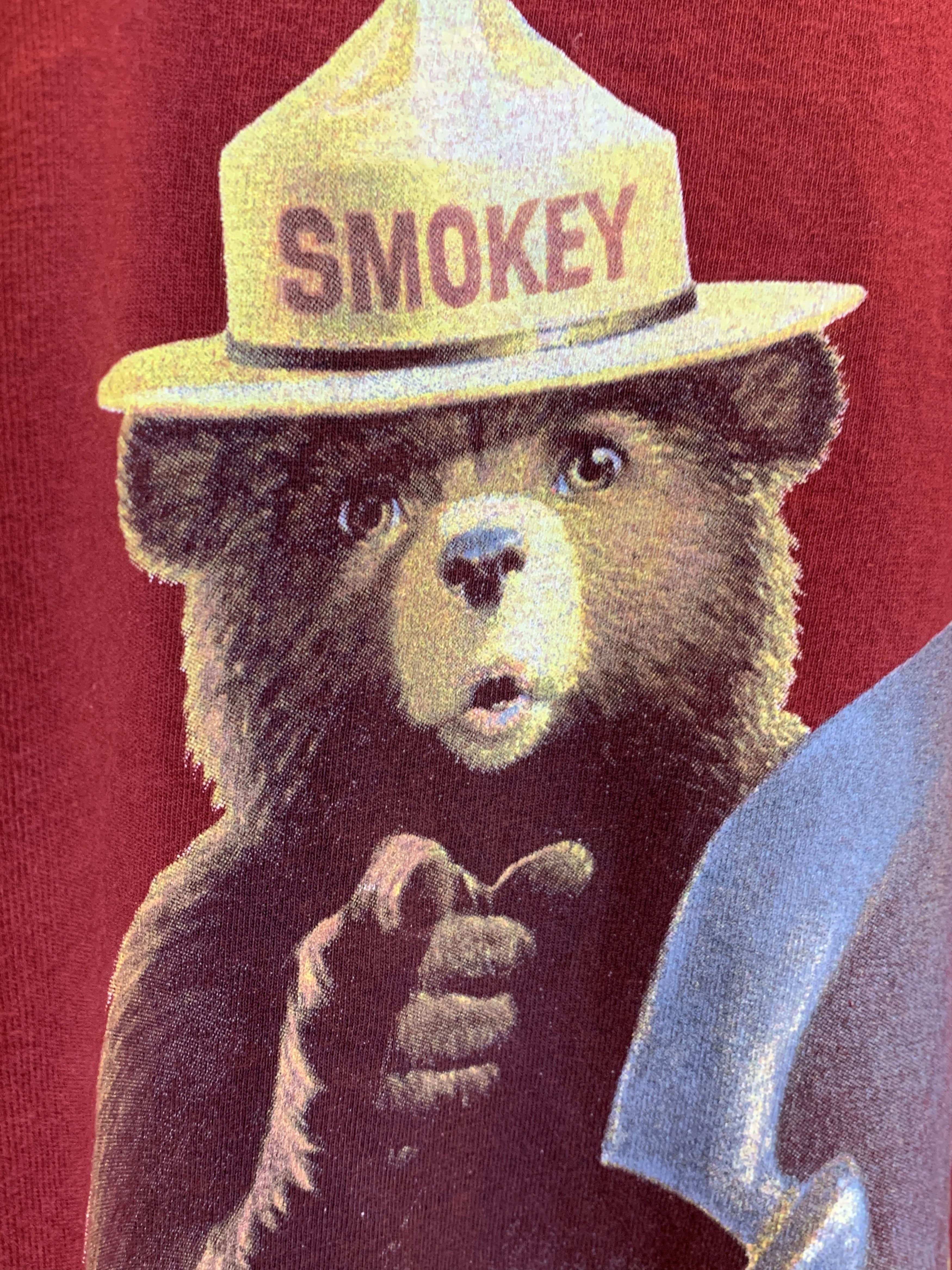 Vintage *RARE* Vintage 90’s Smokey The Bear Only You Forest T-Shirt Size US L / EU 52-54 / 3 - 4 Thumbnail
