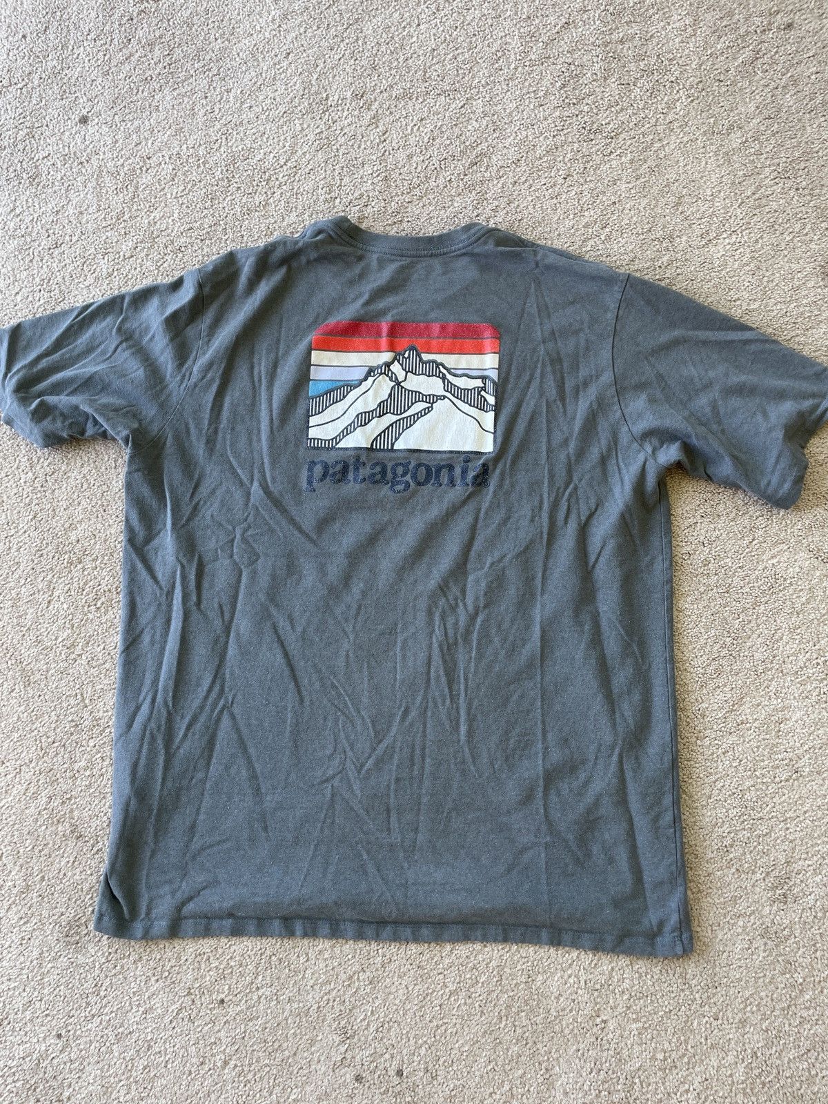 Patagonia Patagonia short sleeve tee Size US L / EU 52-54 / 3 - 1 Thumbnail