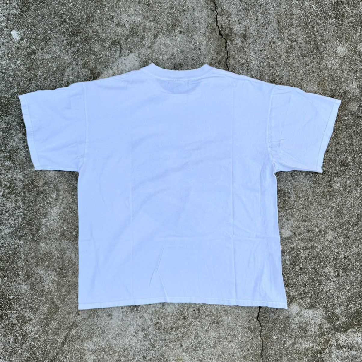 Gildan × Vintage Vintage Y2K San Diego, CA Save The Oceans Panda Surfing Tee Size US XL / EU 56 / 4 - 3 Thumbnail