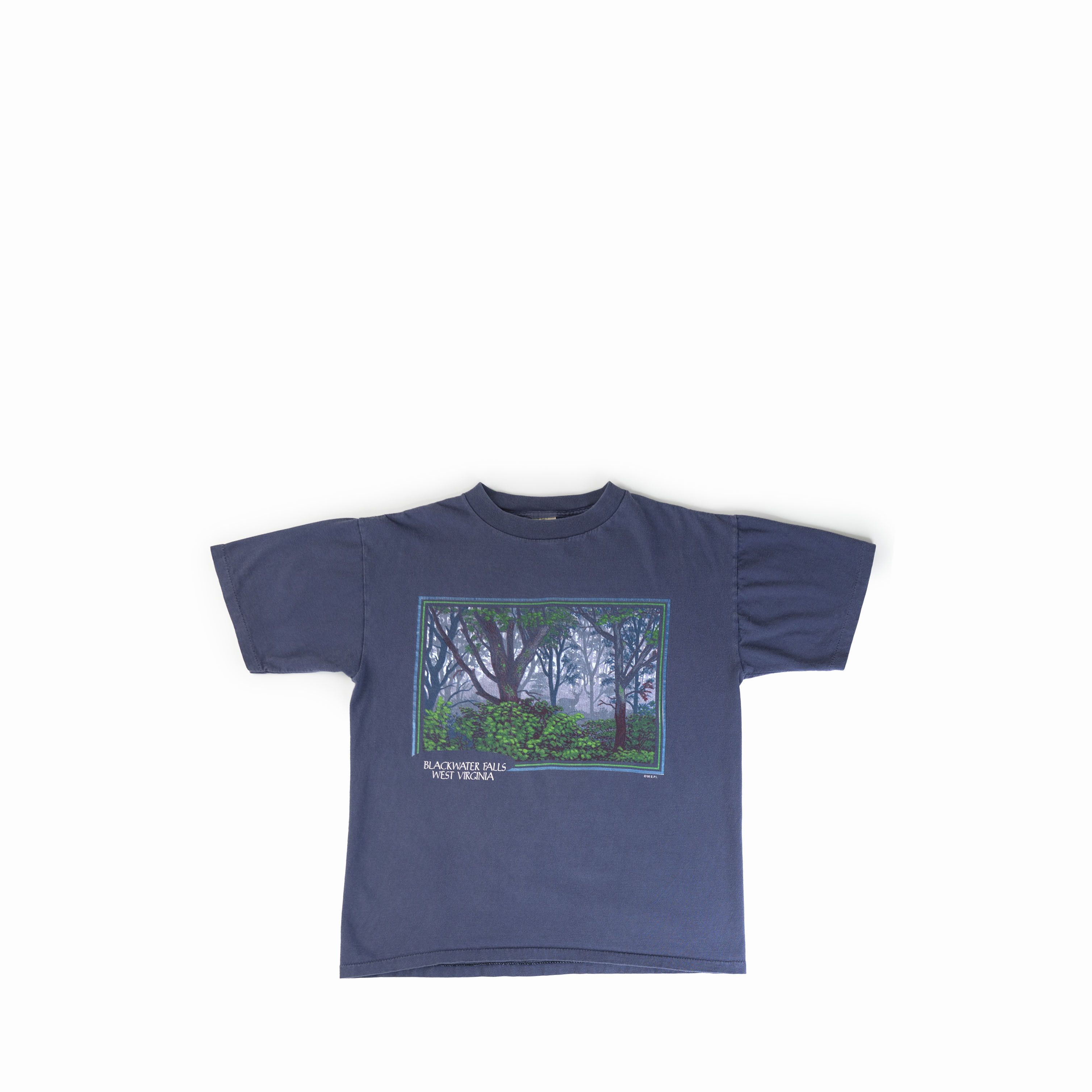 Vintage Vintage 1998 Black Water Falls West Virgina Tee Shirt Size US L / EU 52-54 / 3 - 1 Thumbnail
