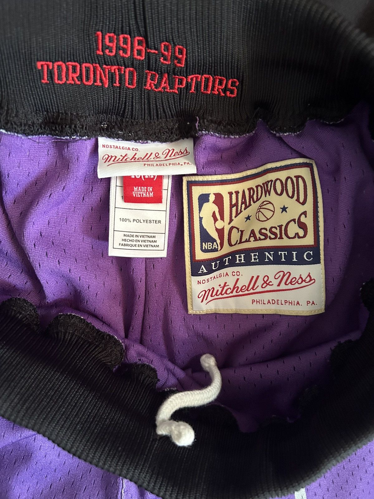 Mitchell & Ness Authentic Mitchell&ness 98-99 Toronto raptors shorts Size US 40 / EU 56 - 3 Thumbnail
