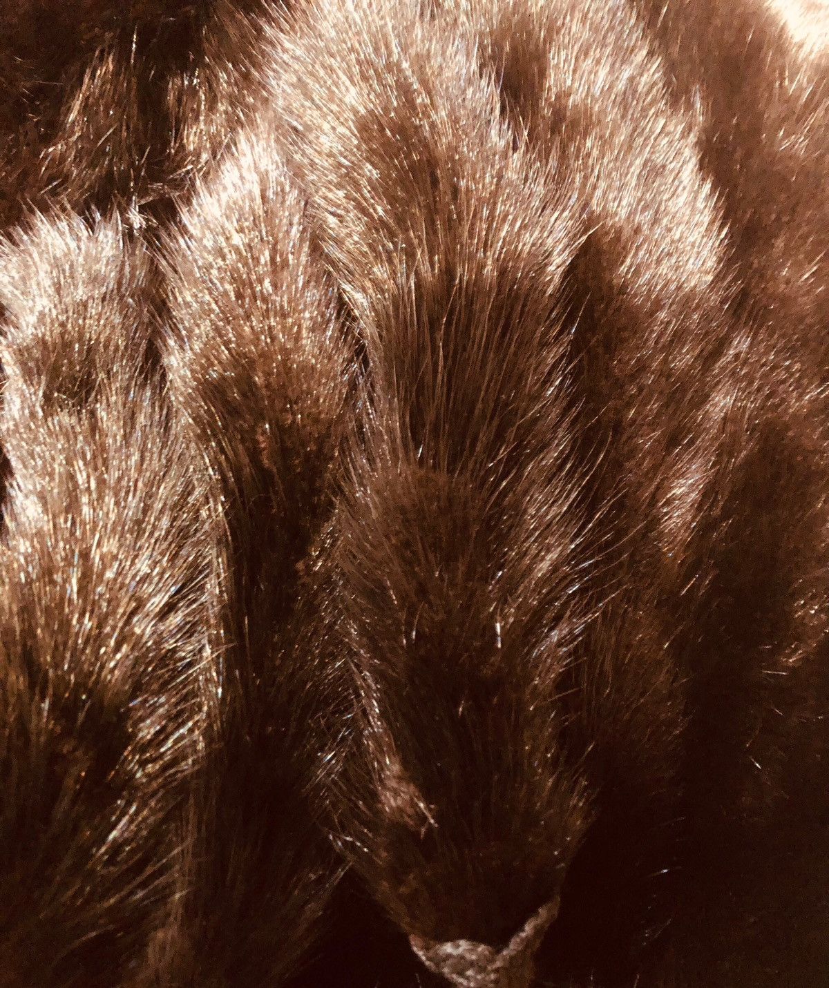 Other Nice!! Mink Fur Cape Winter Size ONE SIZE - 7 Thumbnail