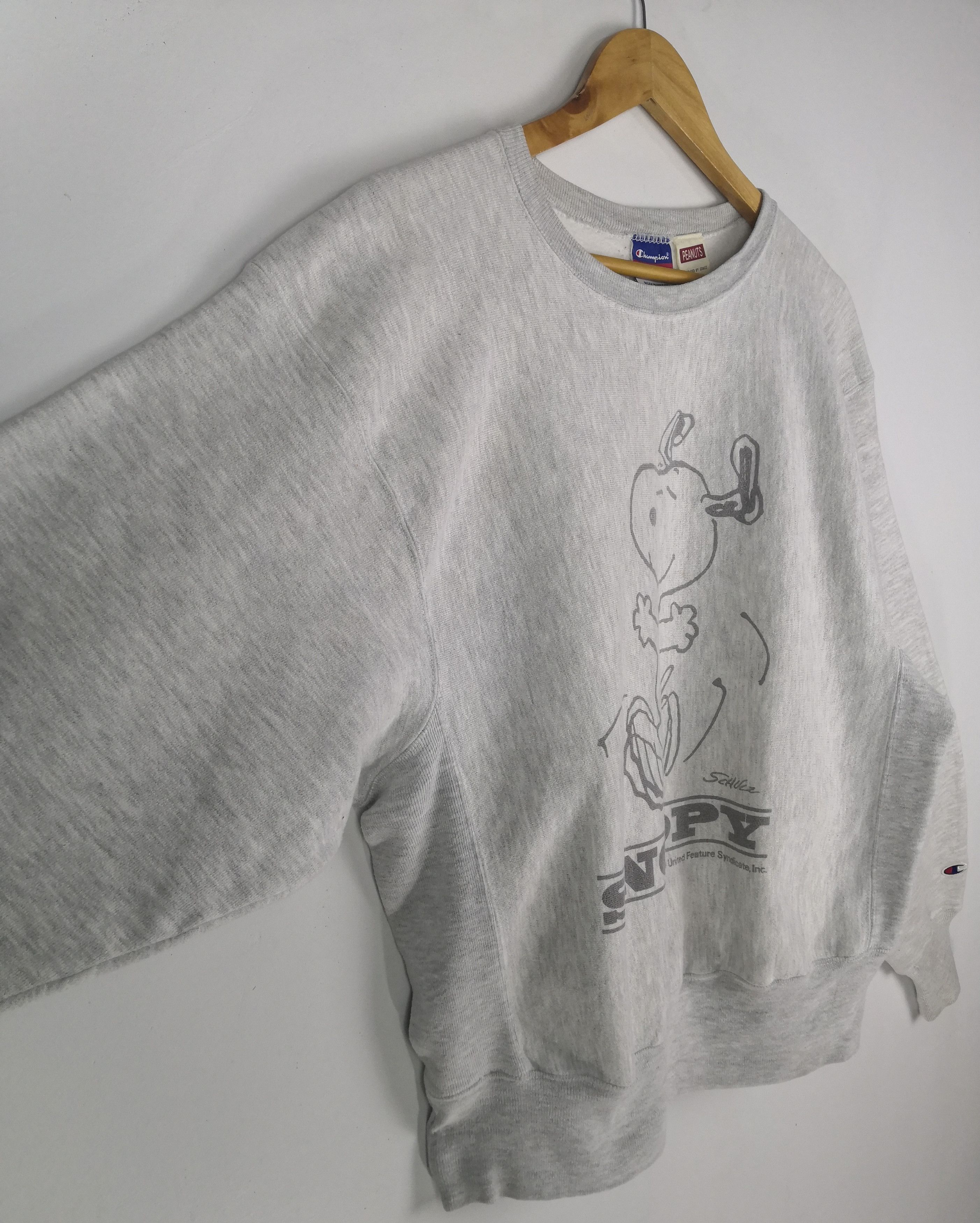 Champion Vintage 90s Champion Sweatshirt Peanut Sweater Spellout Size US M / EU 48-50 / 2 - 3 Thumbnail