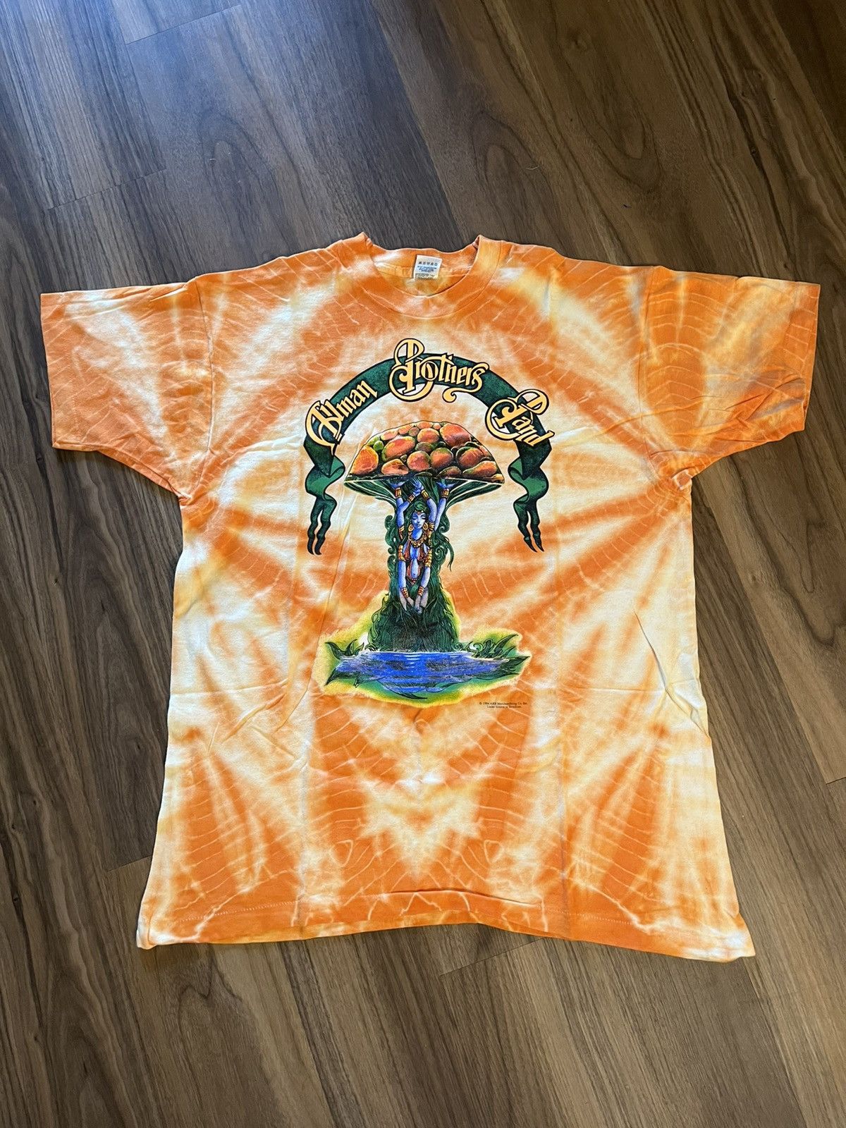 Band Tees Vintage 1994 Allman Brothers Band Concert T-shirt XL Size US XL / EU 56 / 4 - 1 Thumbnail