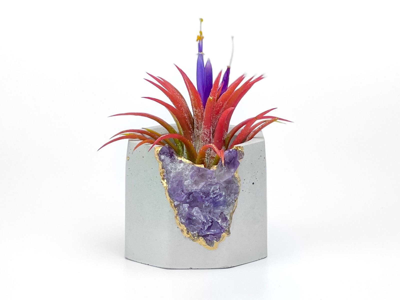 Other Gift Raw Amethyst Crystal Planter Geode Planter vase pot Size ONE SIZE - 3 Thumbnail