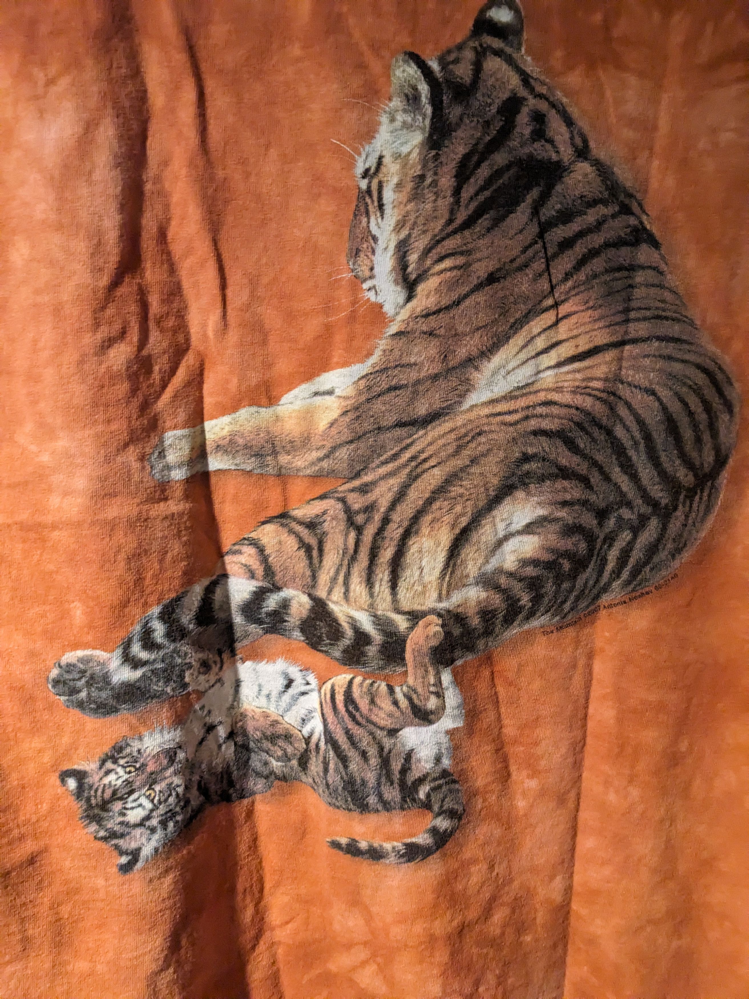 The Mountain × Vintage Vintage 2007 The Mountain Tiger Animal Nature Large T-Shirt Size US L / EU 52-54 / 3 - 6 Thumbnail