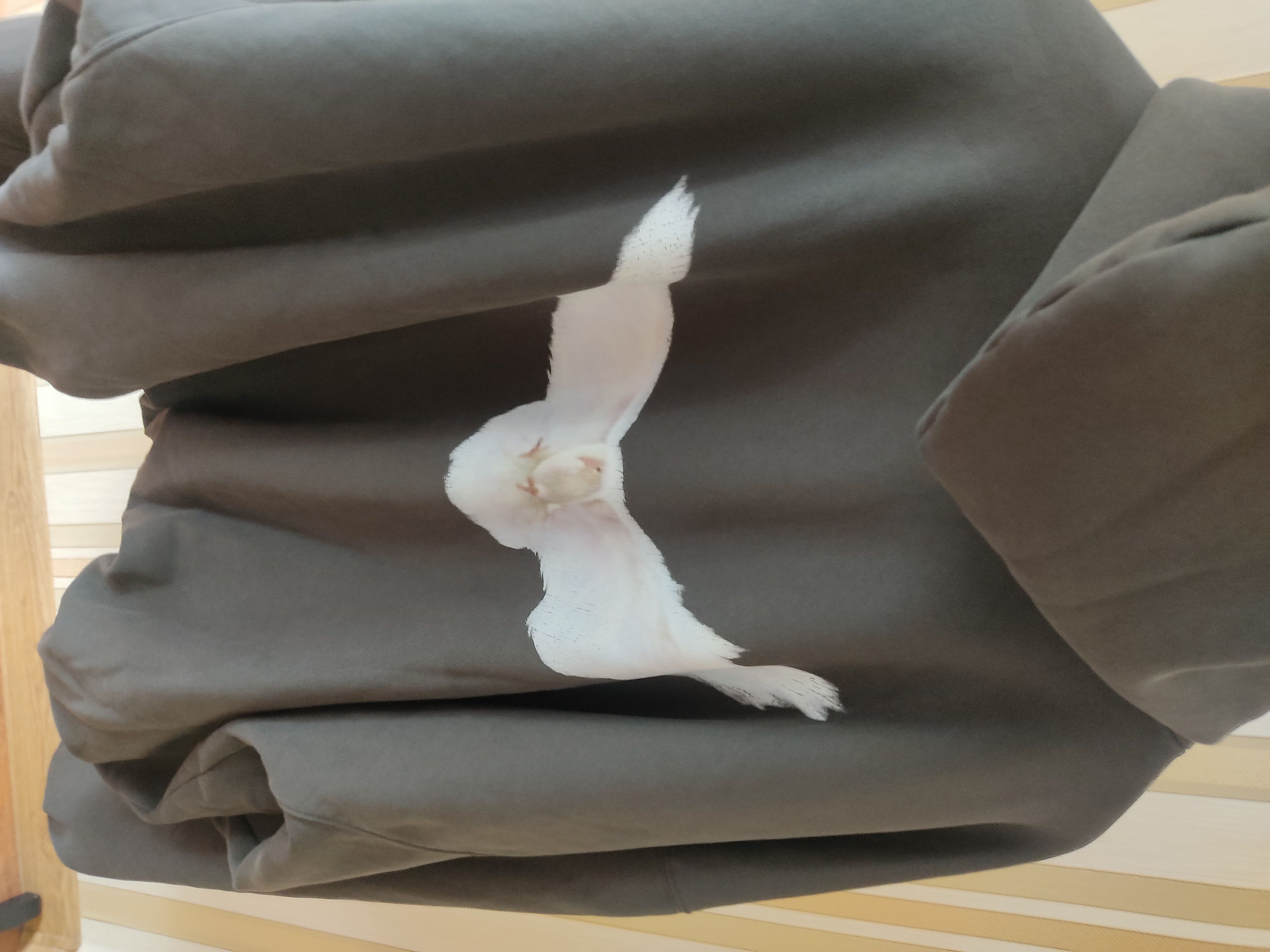 Balenciaga × Gap × Kanye West 🕊️Yzy Yeezy Gap Balenciaga Dove Gray hoodie Size US L / EU 52-54 / 3 - 9 Thumbnail