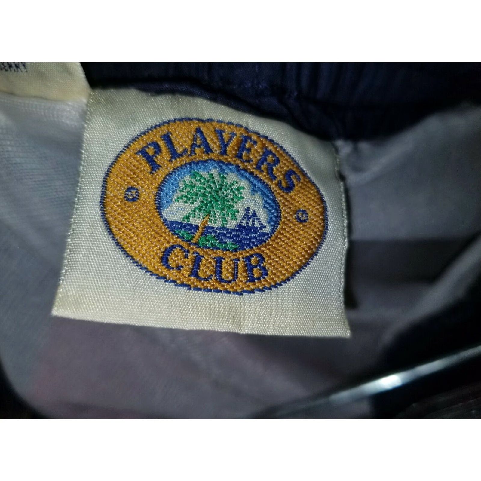 Vintage VINTAGE Players Club Swim Trunks Mens Large Red Blue Green Lime Black Netting 90s Summer Beach Size US 33 - 2 Thumbnail